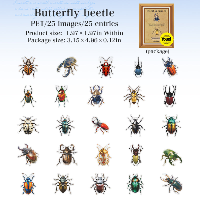 Insect specimen illustrations PET Sticker -25Pcs each pack