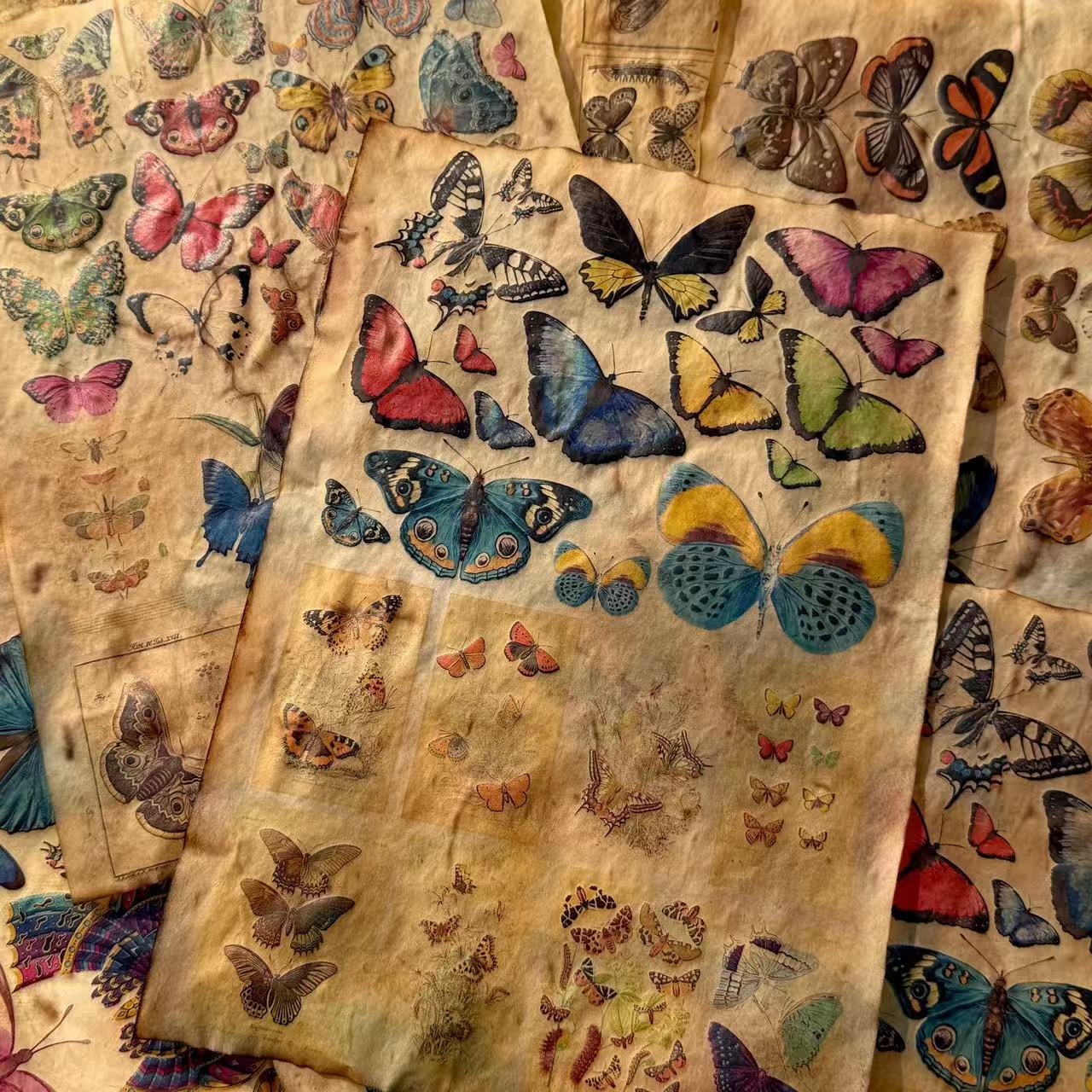 Vintage Butterfly Coffee Hand-Dyed Vellum paper -4Pcs each pack