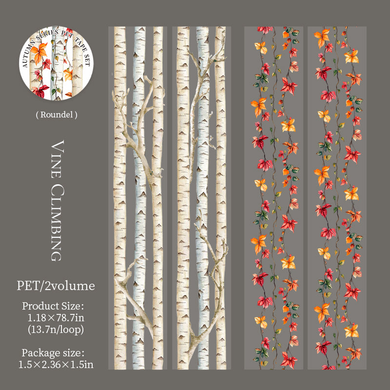 Autumn PET tape -5cm/5cm*2m