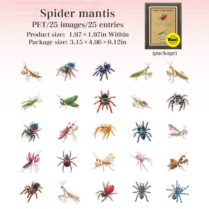 Insect specimen illustrations PET Sticker -25Pcs each pack