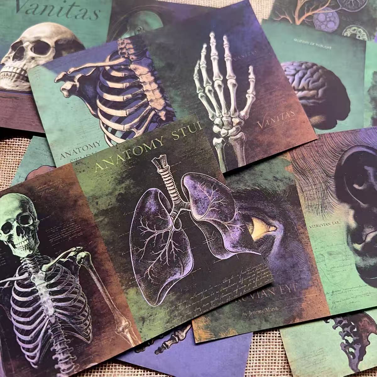 A4 size Vintage Medical Anatomy Theme Style paper 4 pcs (Uncut, with white borders)