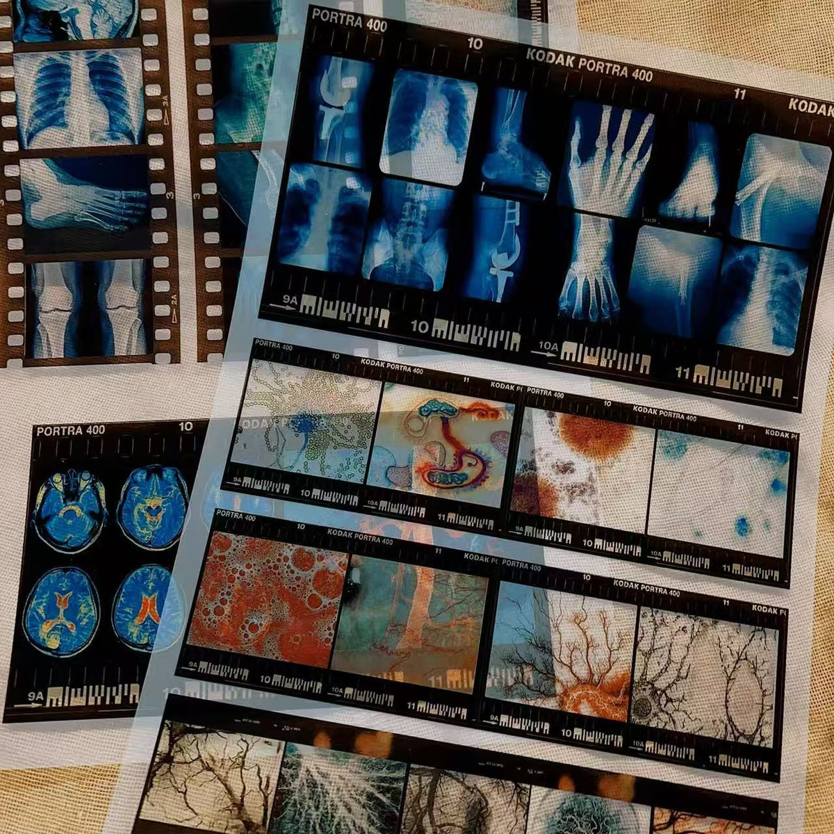 A4 Vintage Medical Film 2 pcs