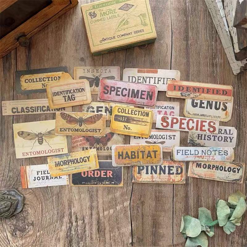 Insect Specimens English Word Writing Paper sticker -26Pcs each pack