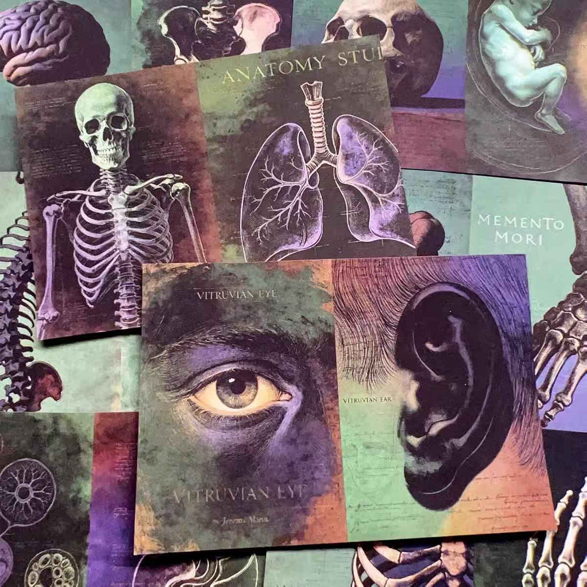 A4 size Vintage Medical Anatomy Theme Style paper 4 pcs (Uncut, with white borders)