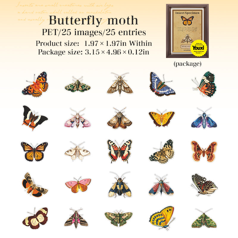 Insect specimen illustrations PET Sticker -25Pcs each pack