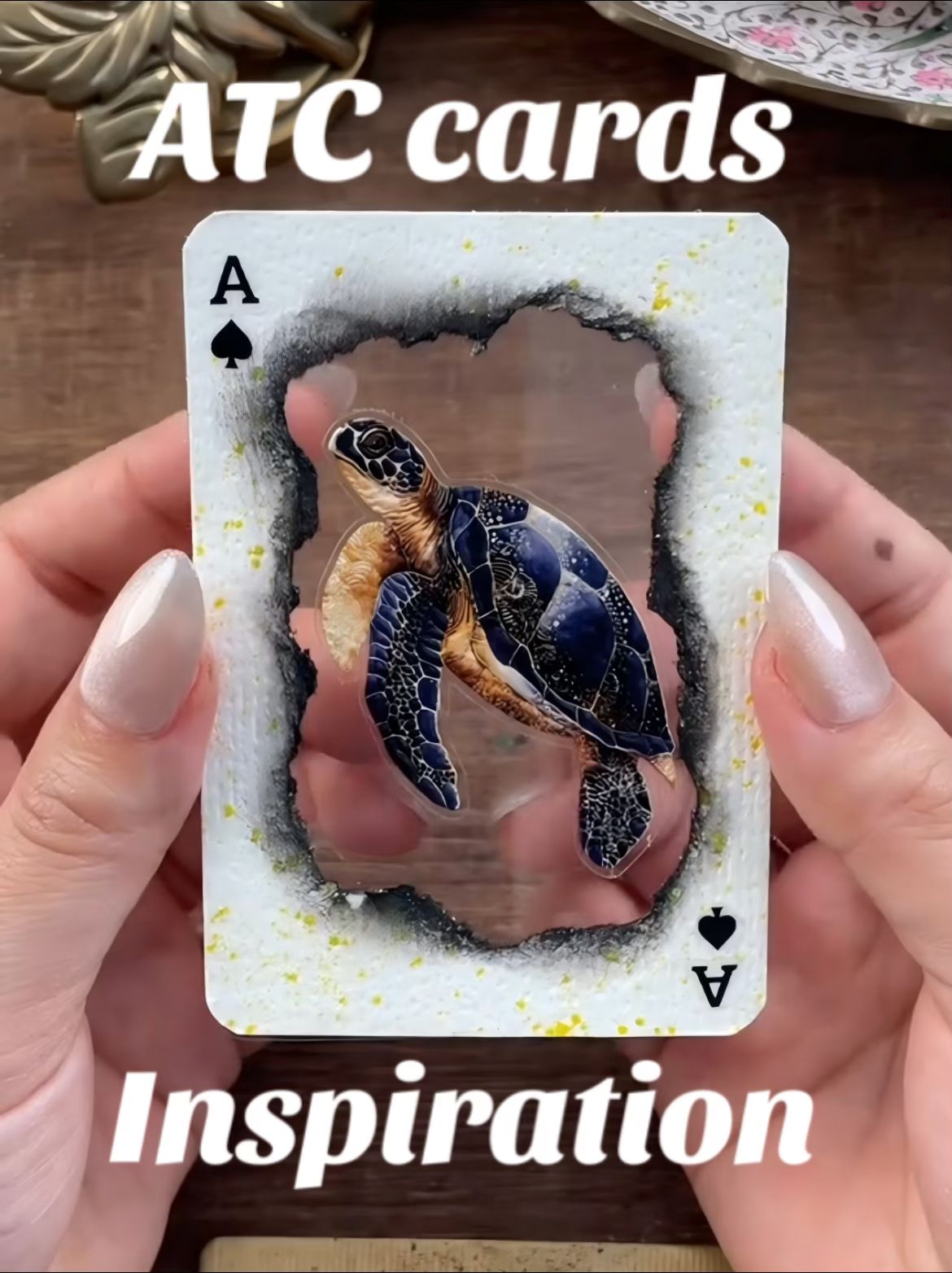 Black turtle ATC cards