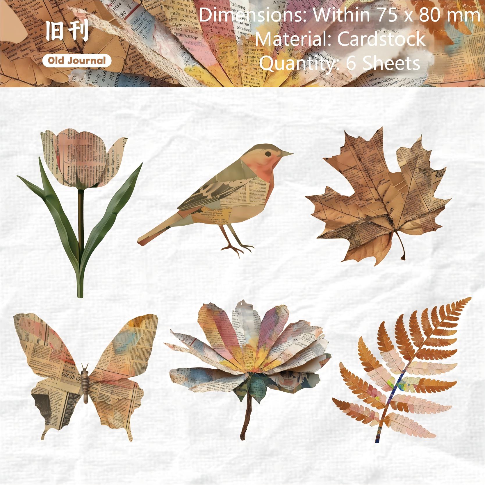 Nature Magazine cardstock Sticker -6Pcs each pack