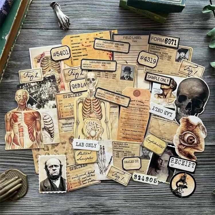 0618 Dark human anatomy card stock paper -43Pcs each pack