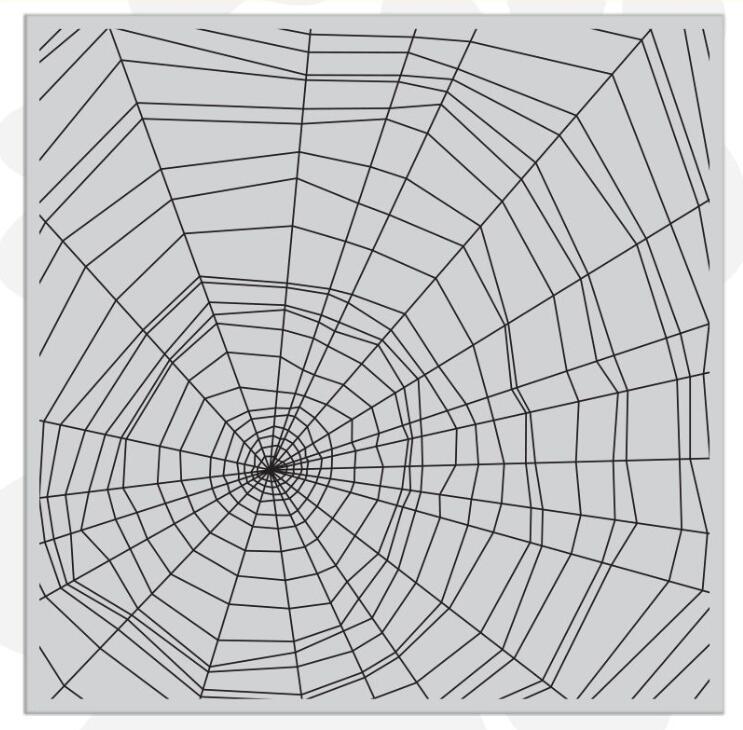 1010 Spider web Clear Stamp 14cm*14cm