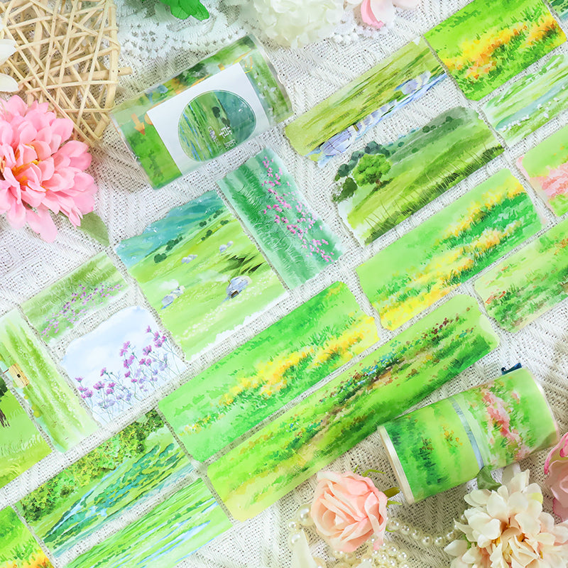 260113 T-491 Grassland Tape -7cm*2m