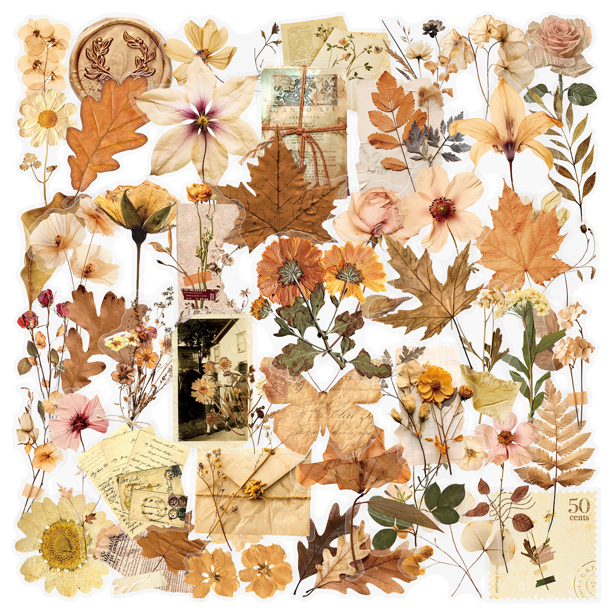 0907 50 Dried flowers and leaves PET sticker