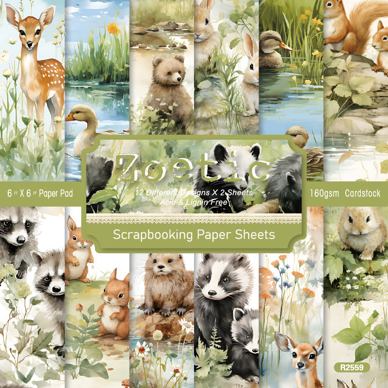0727 Zoetic Background Paper R2559 -24Pcs each pack