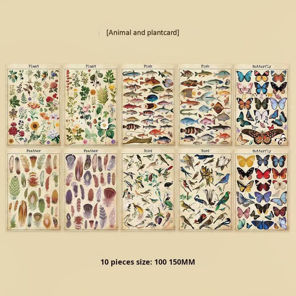 0527 Animal and Plant Postcard 10 pcs