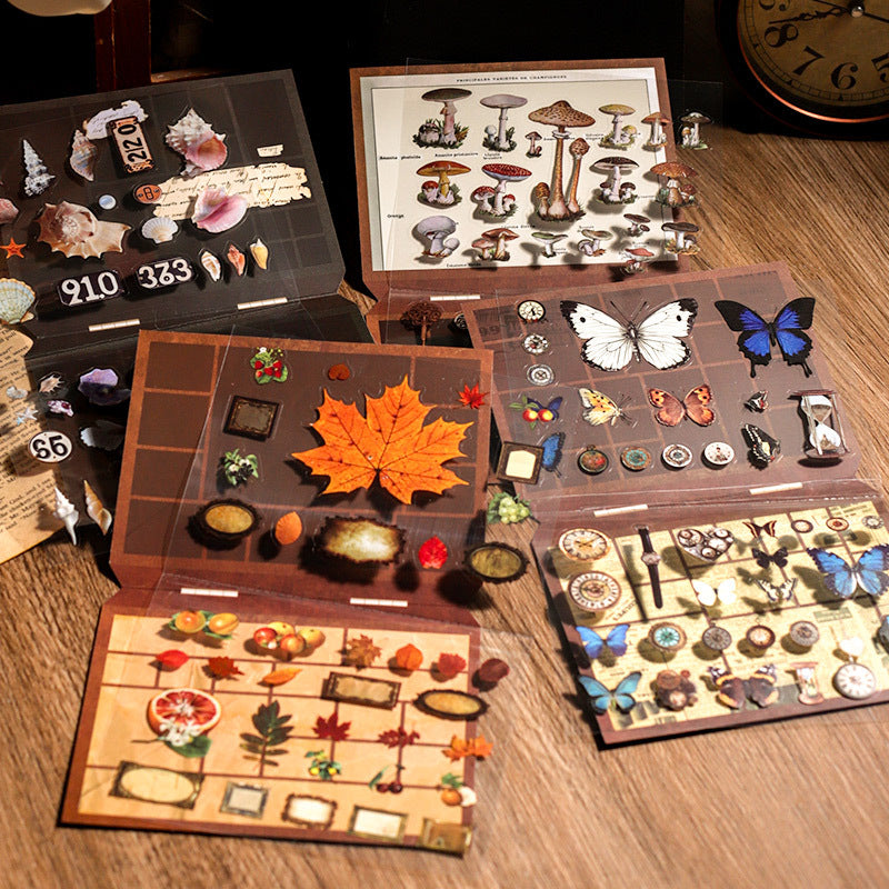 0403 Old wooden specimen box Series PET Sticker -1Pcs each pack