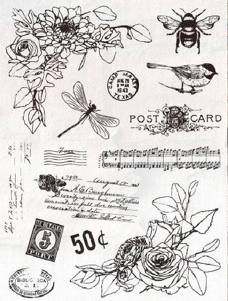 0814 Vintage Plants and animals Stamp 15cm*20cm