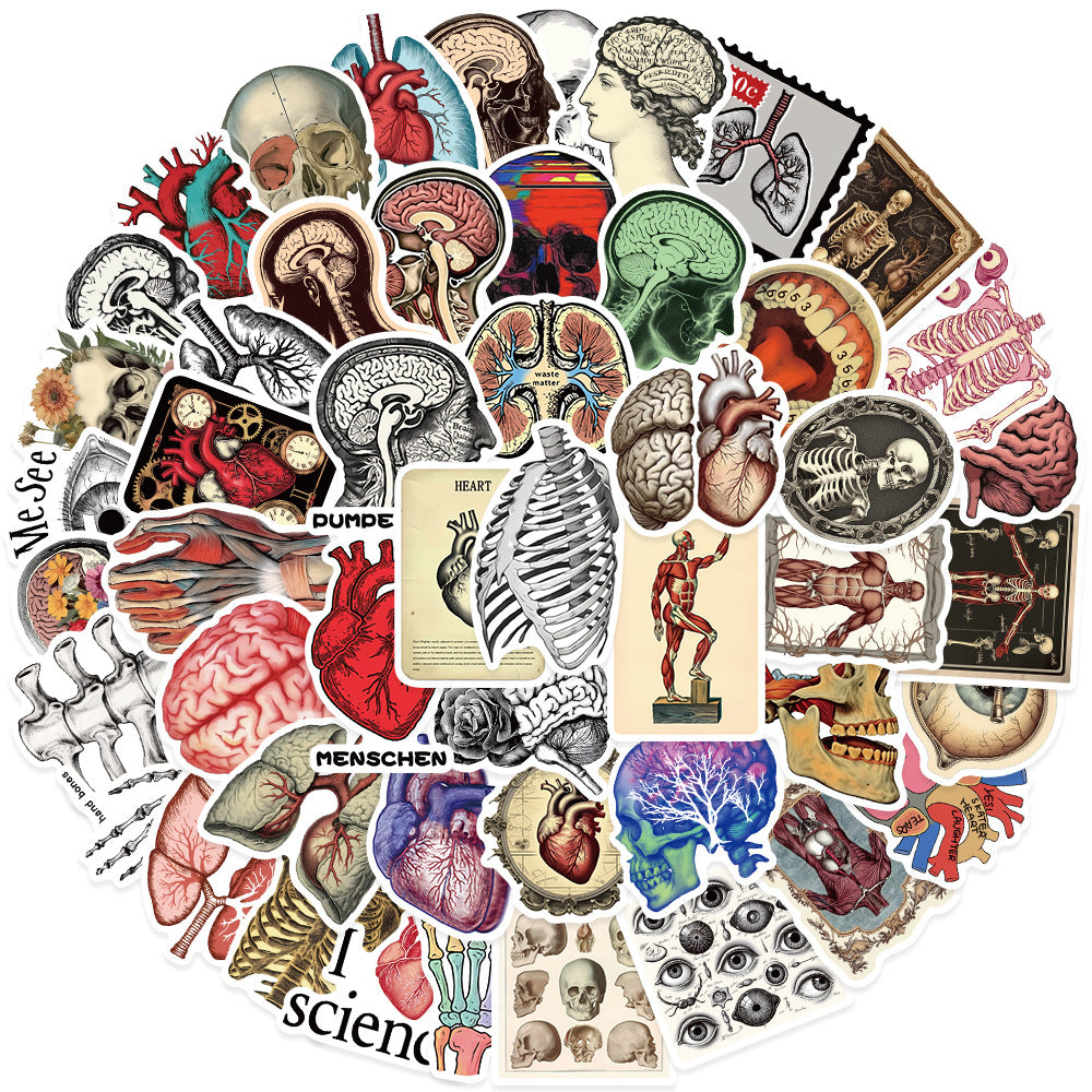 0101 Retro scientific anatomy solid sticker with white border -50Pcs each pack