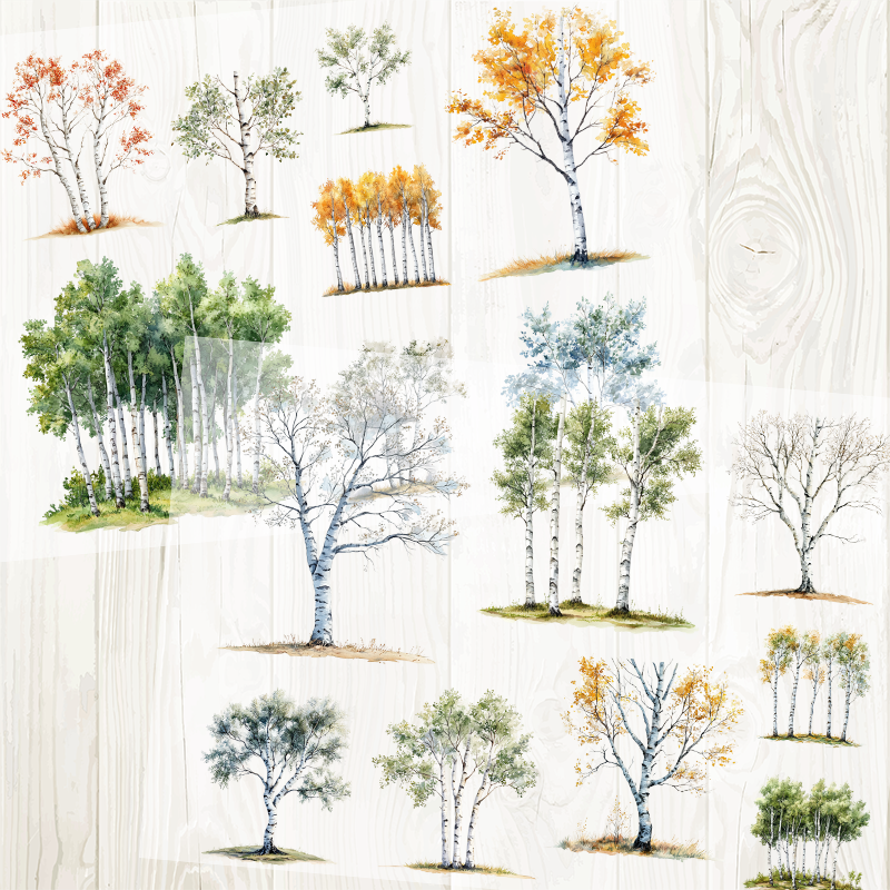 A4 Birch matte PET pre-cut large sticker 1 pack 2 sheets