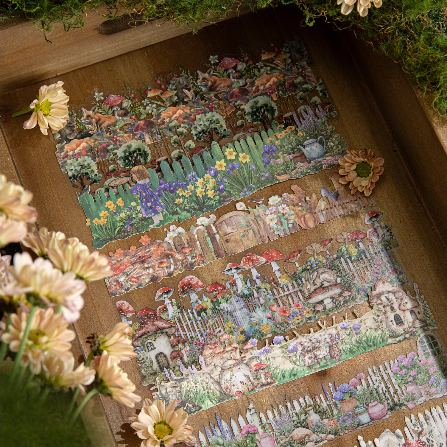 0815 Natural museum Solid & PET Sticker -10Pcs each pack