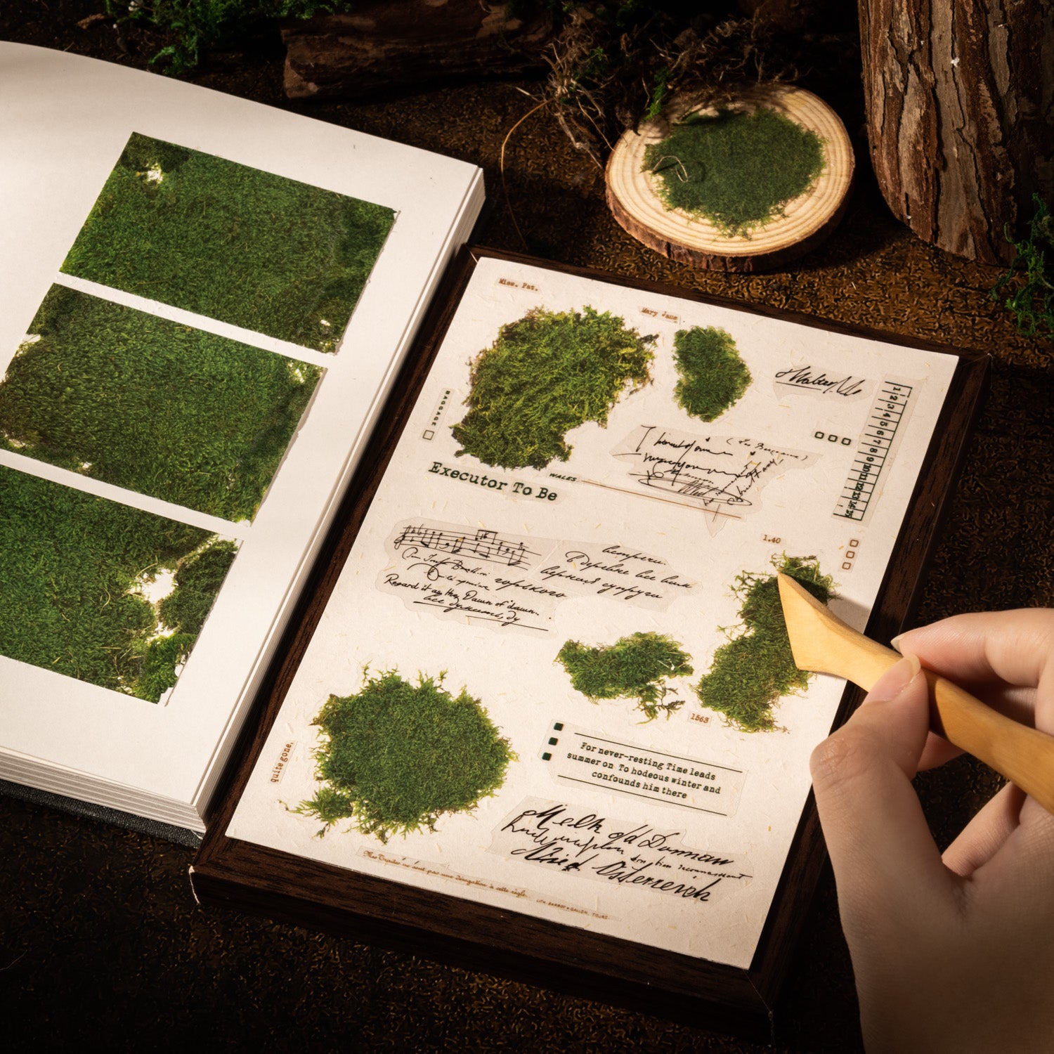 1124 Natural traces transfer, rub on sticker-2Pcs each pack