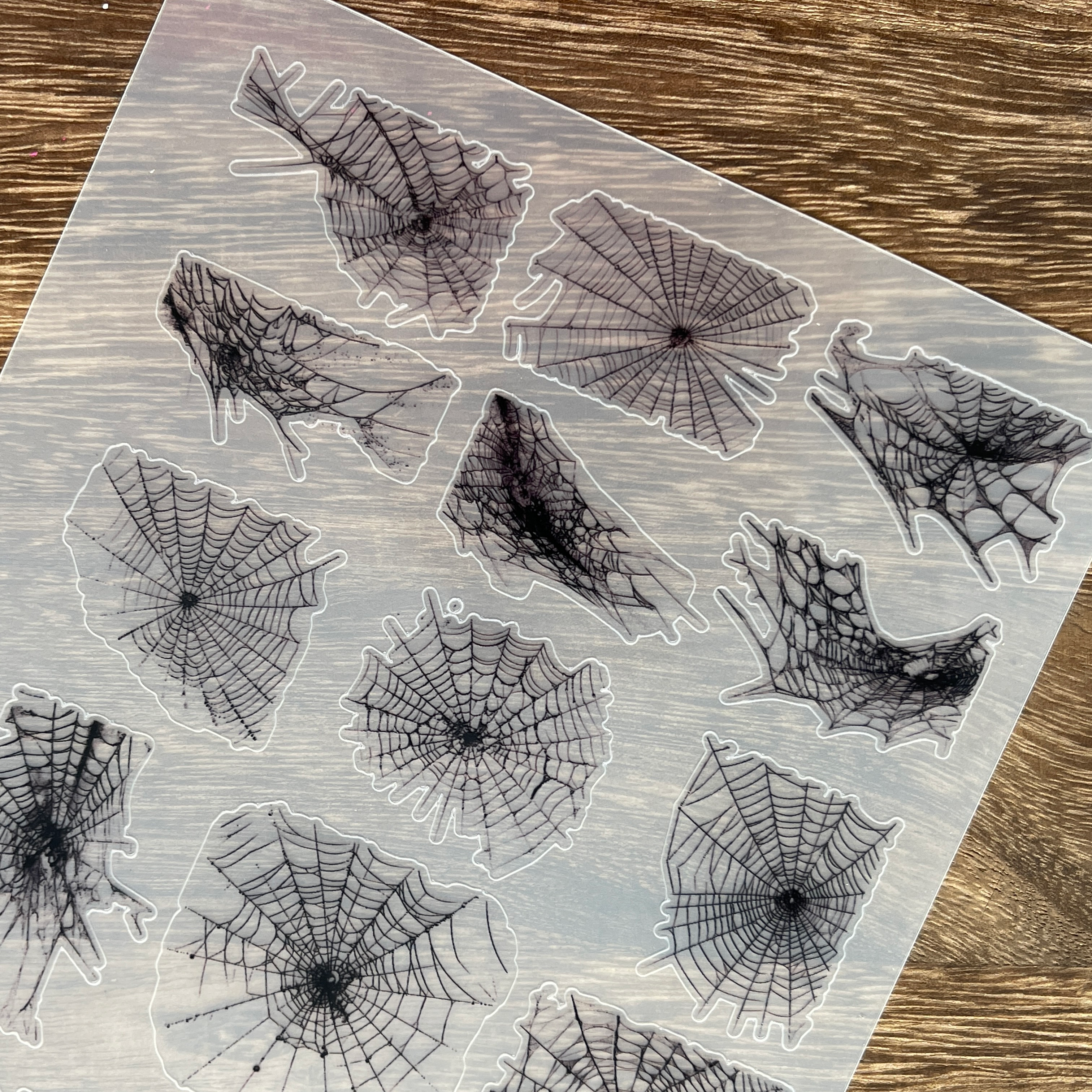 3D Black Spider web PET Stickers 1pcs