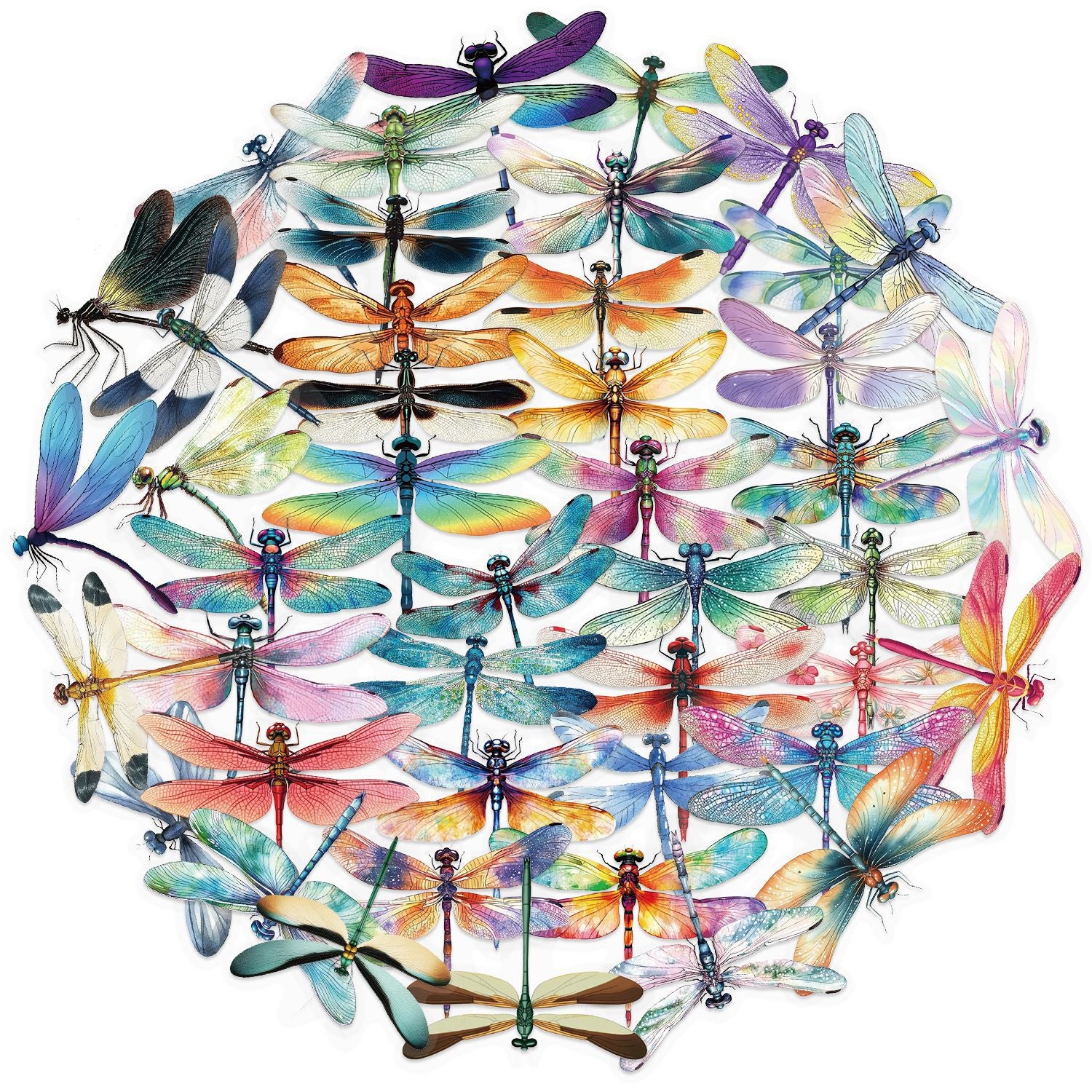 0614 50 Dragonfly PET sticker
