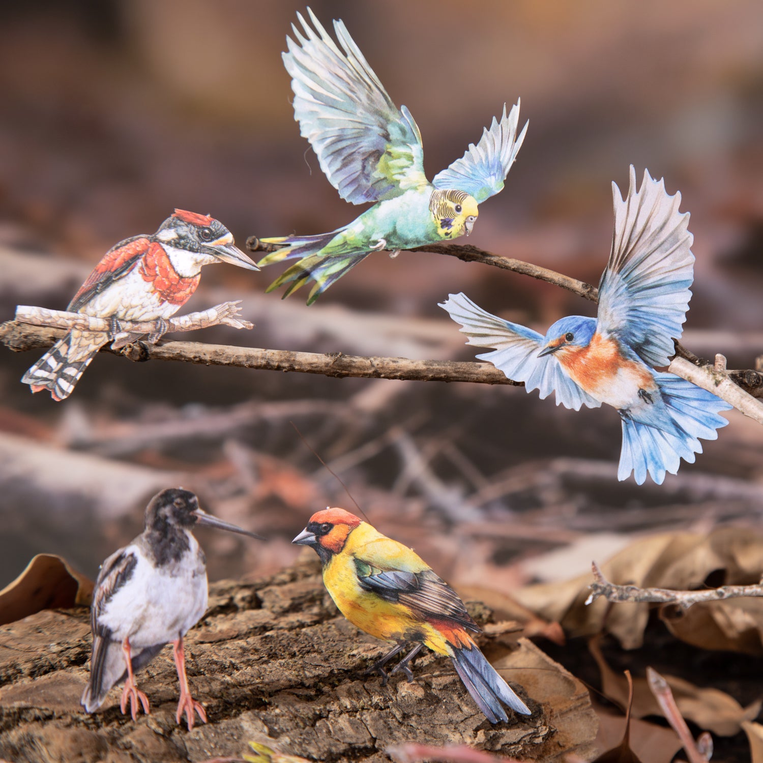 1225 Forest bird cardstock sticker -20Pcs each pack