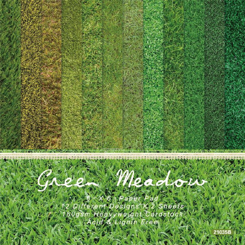 260209 Green meadow background paper 21035B -24Pcs each pack
