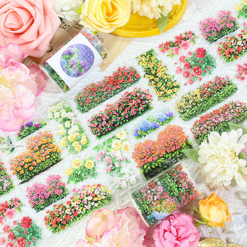 260115 T-503 Seeking Wilderness Tape -6cm*2m