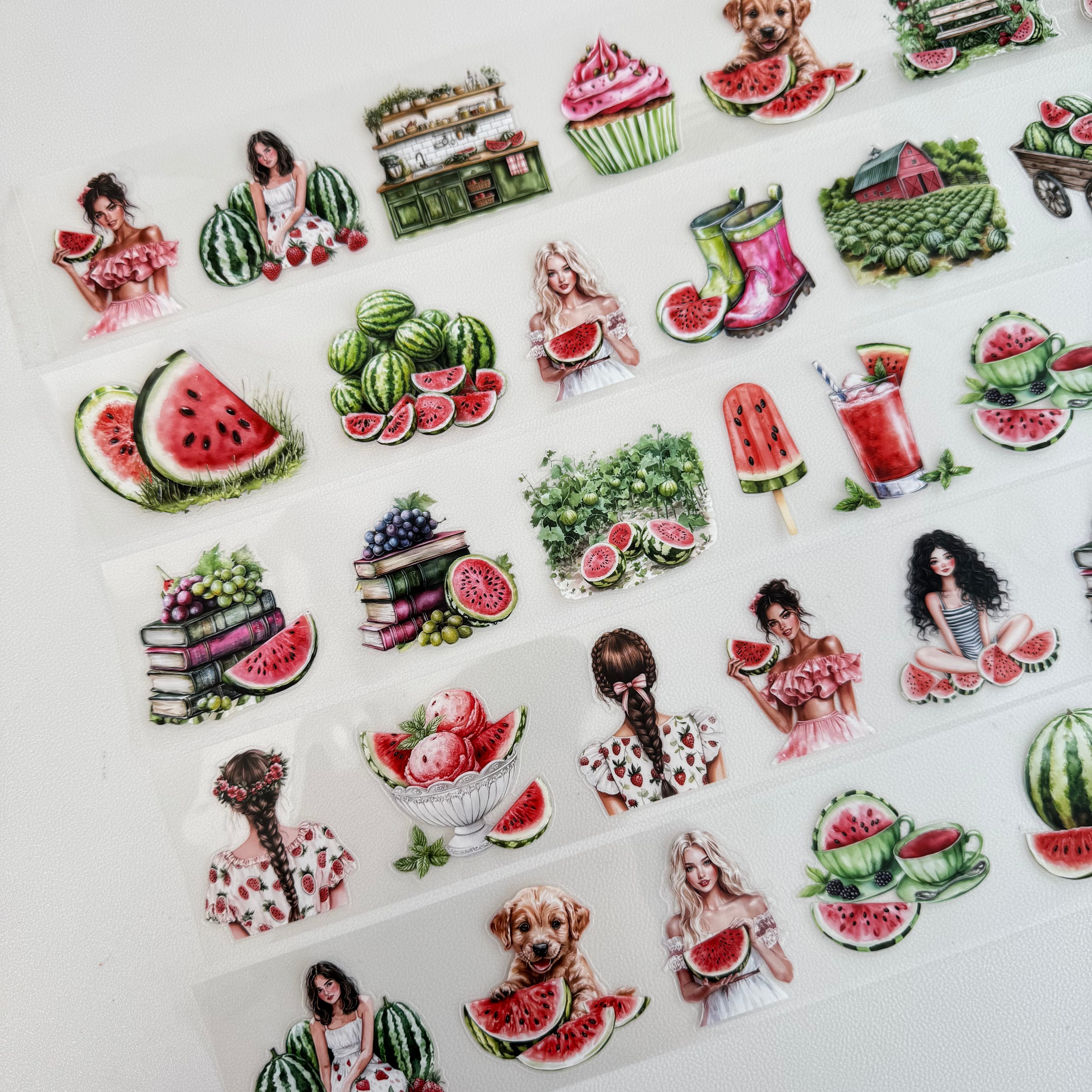 Watermelon pre-cut PET tape 1 loop 5.5CM*2M