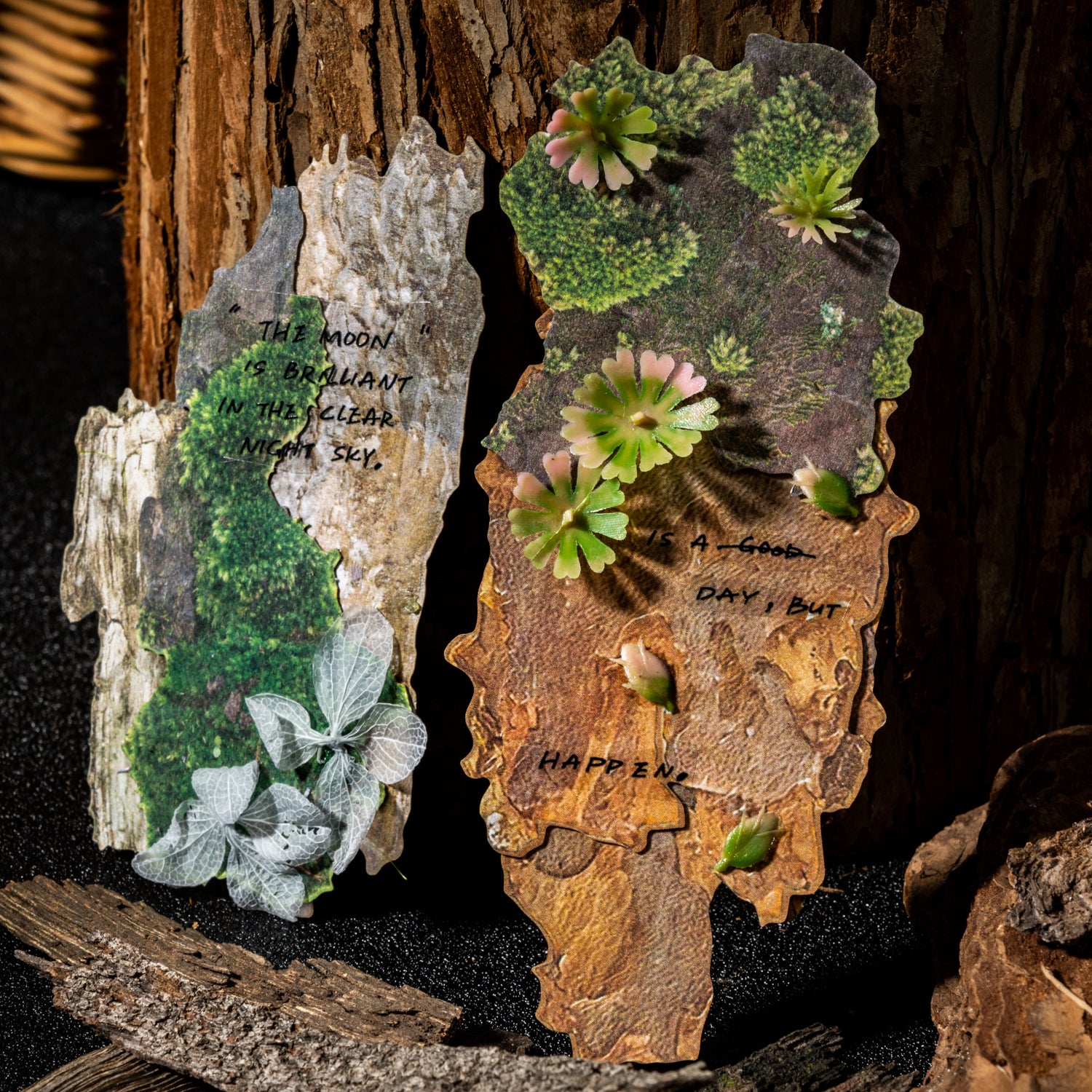 1129 Nature collection sticker -20Pcs each pack