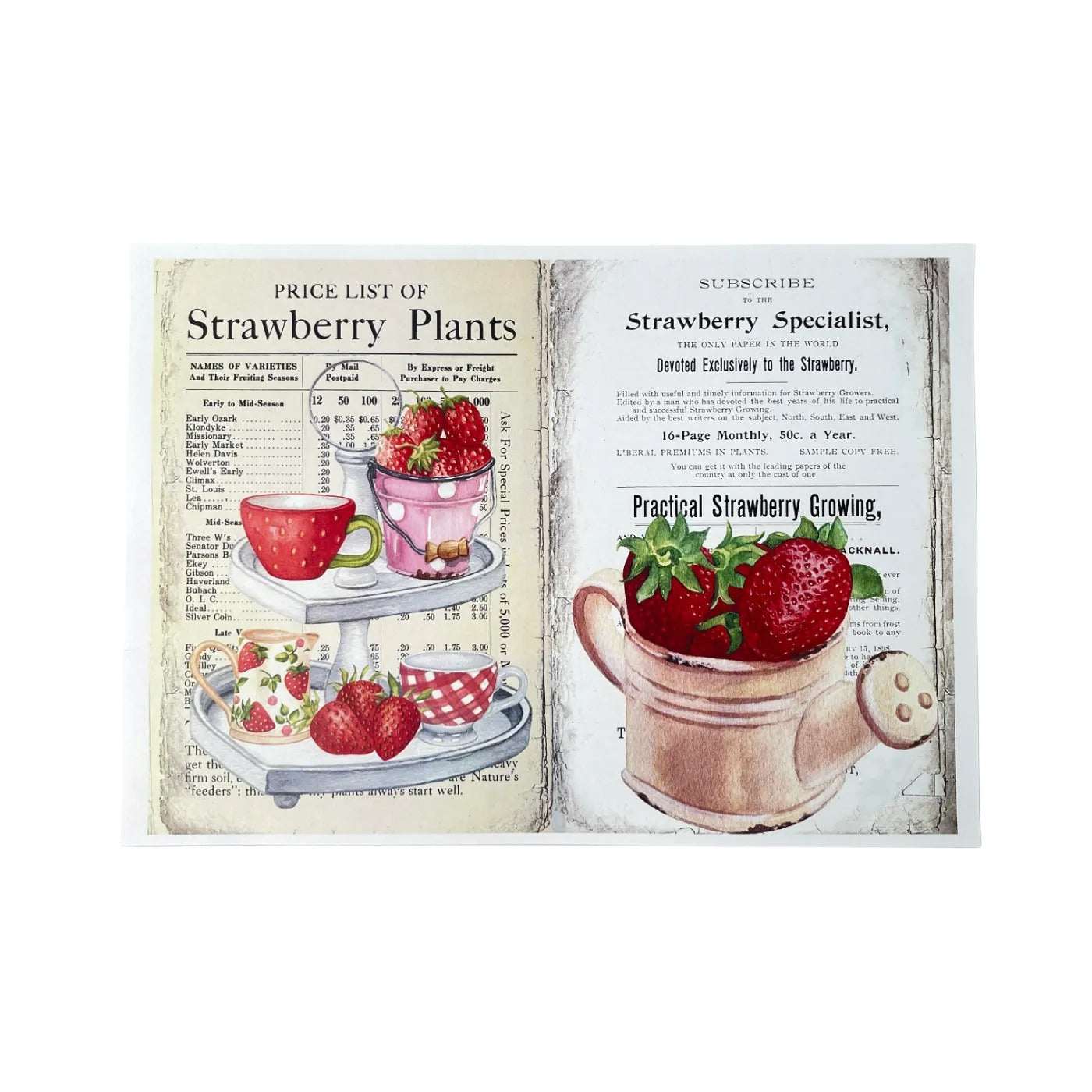 0514 A4 size Strawberries Style Paper 10 pcs *Thin paper