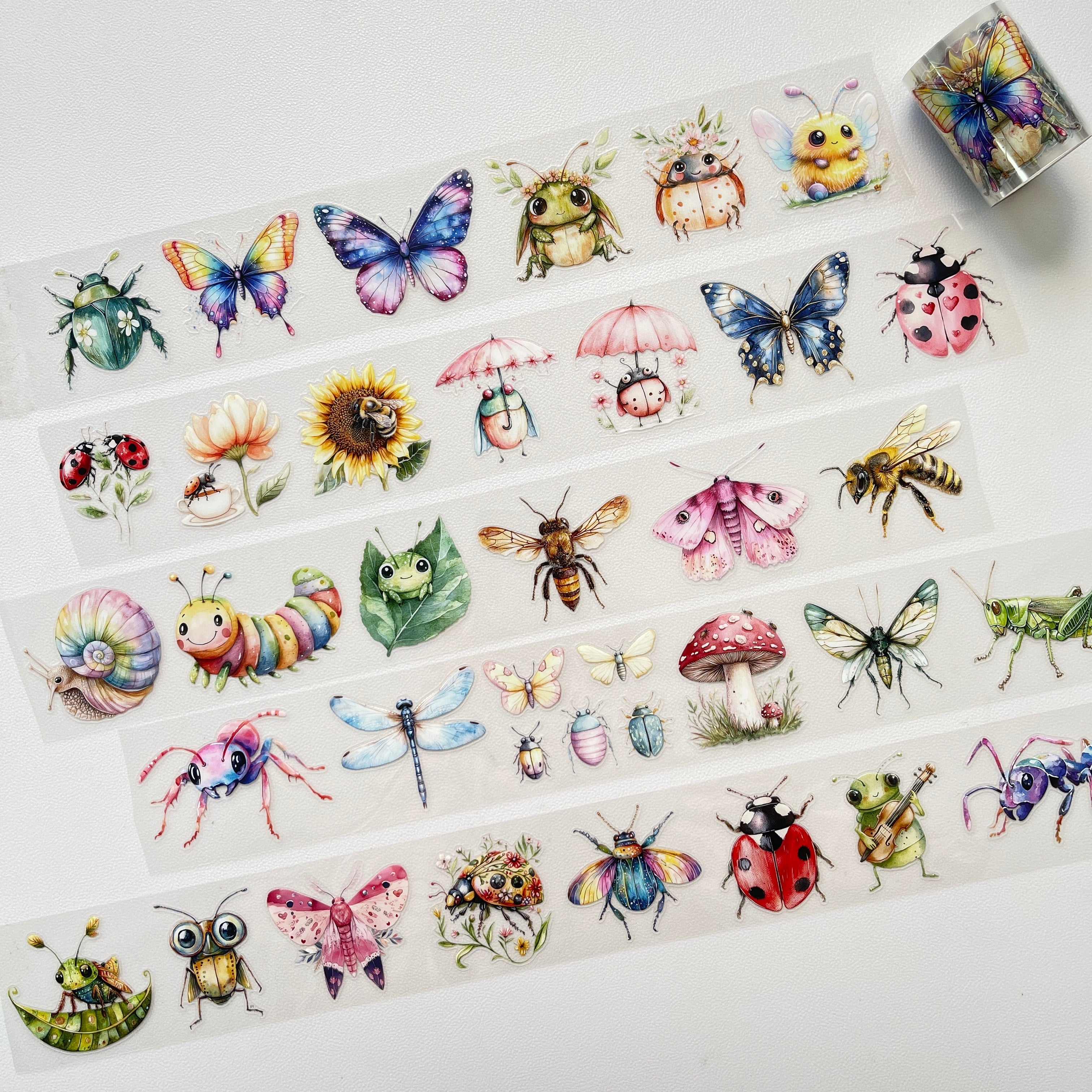 Insect pre-cut PET tape 1 loop 5.5CM*2M