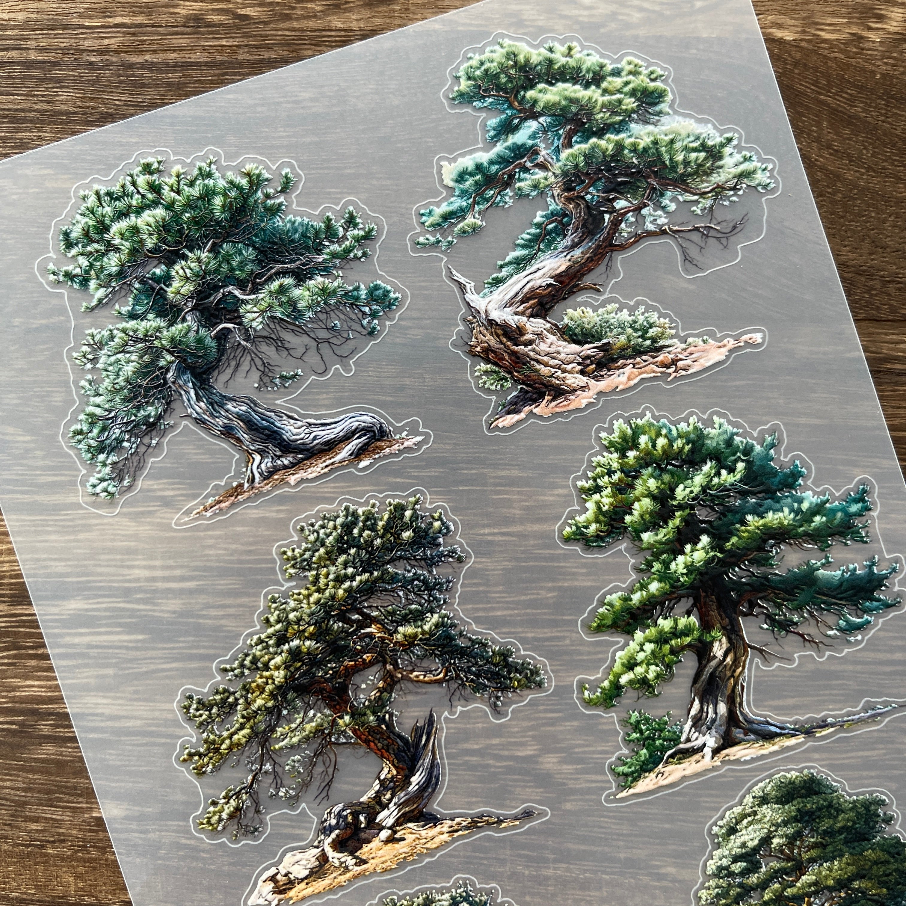 3D Pine PET Stickers 1pcs