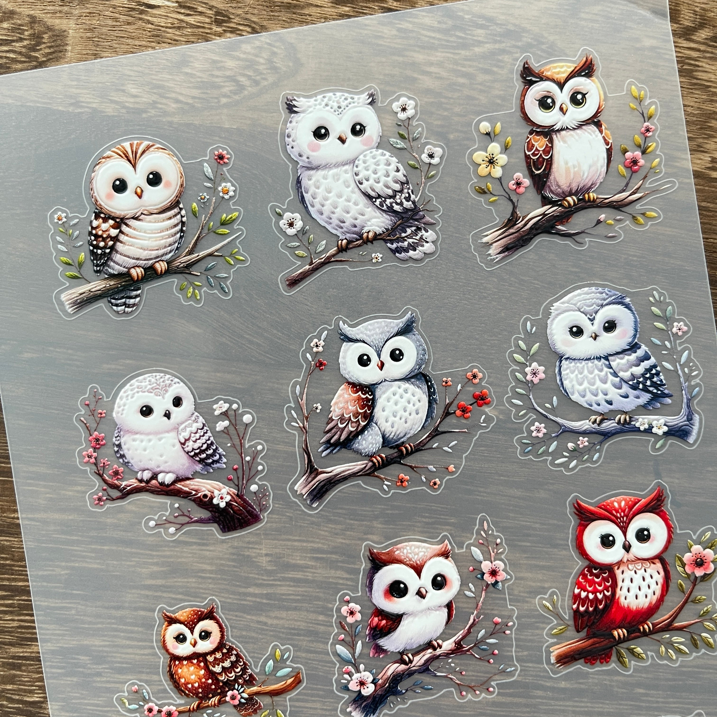 3D Owl PET Stickers 1pcs