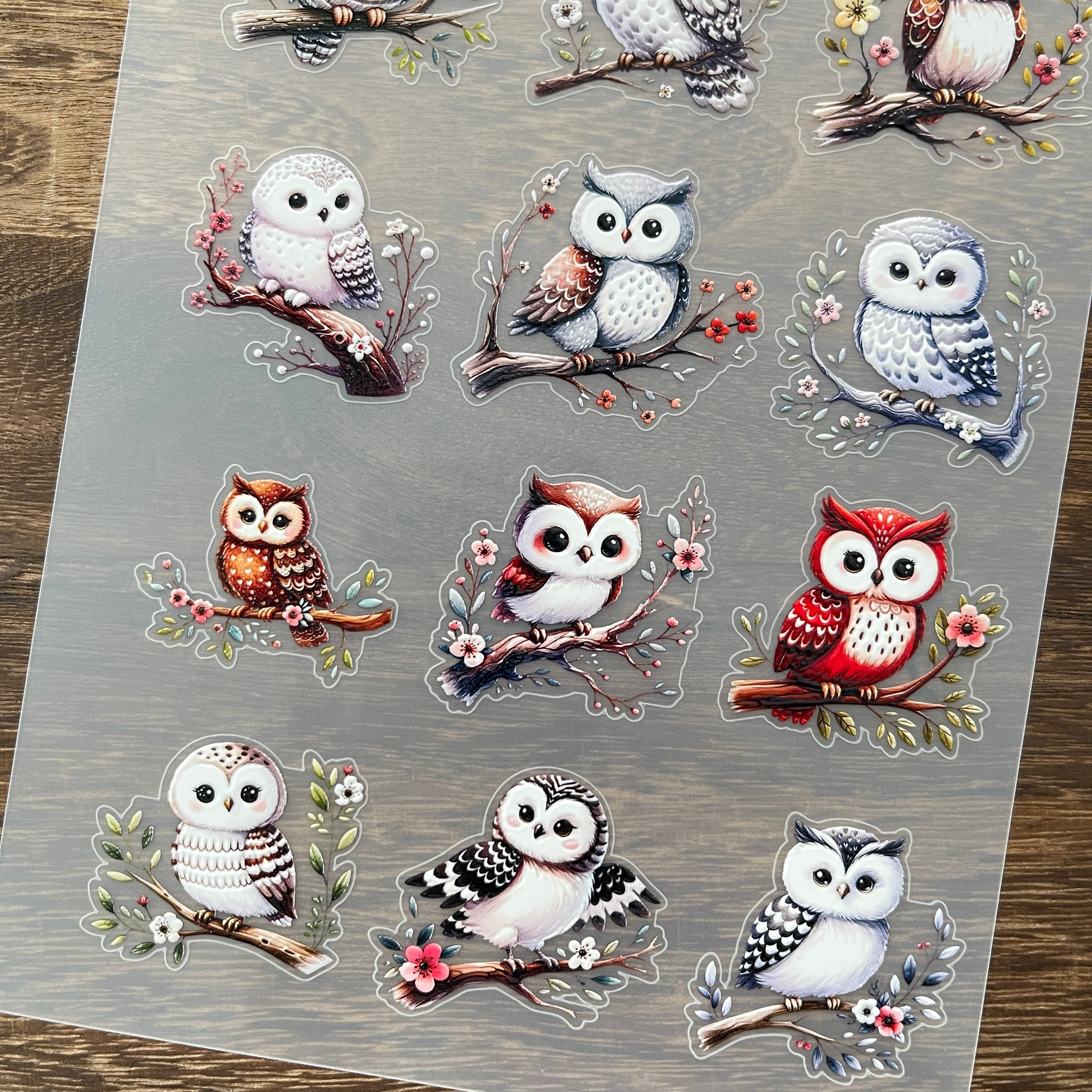 3D Owl PET Stickers 1pcs