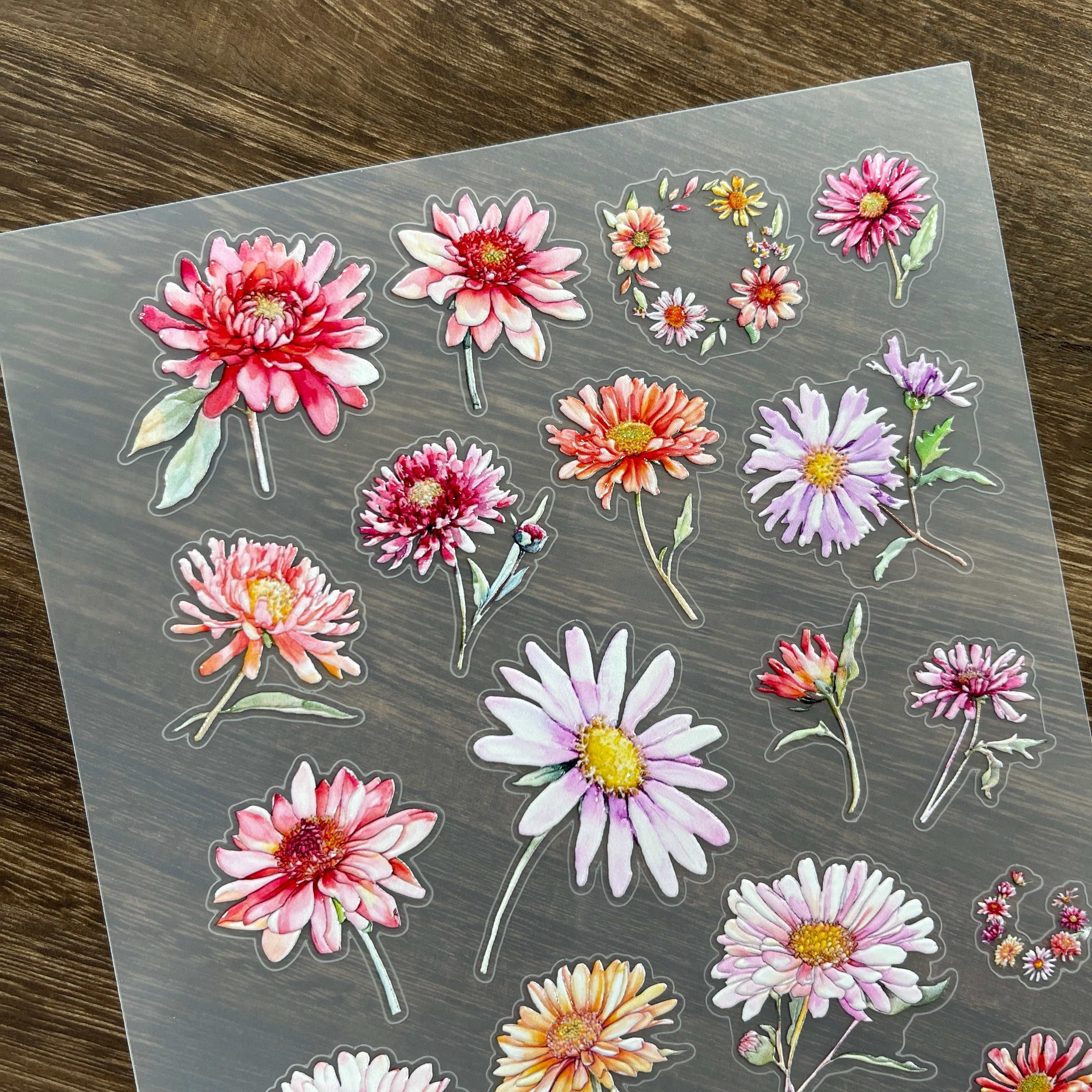 3D Chrysanthemum PET Stickers 1pcs