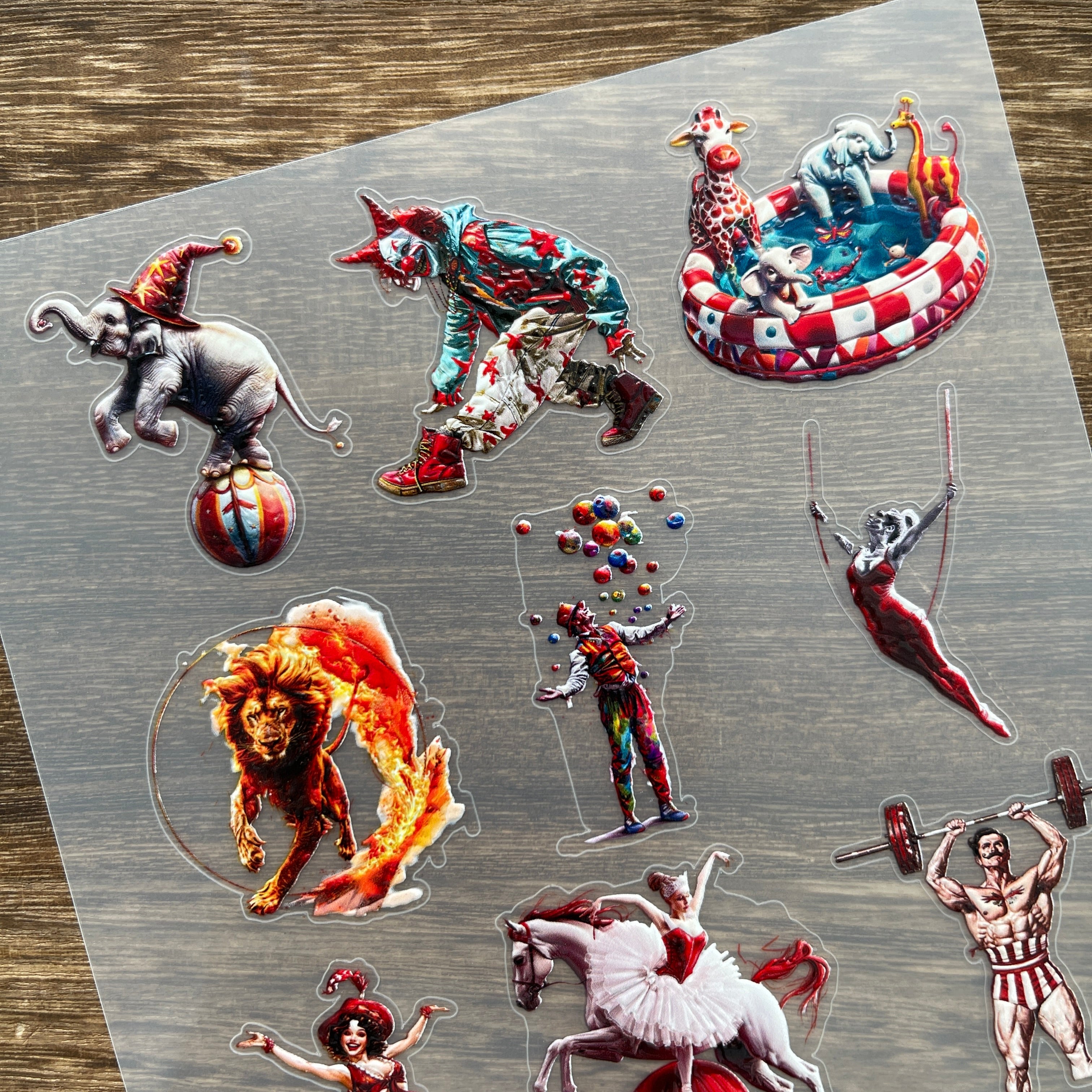 3D Circus PET Stickers 1pcs