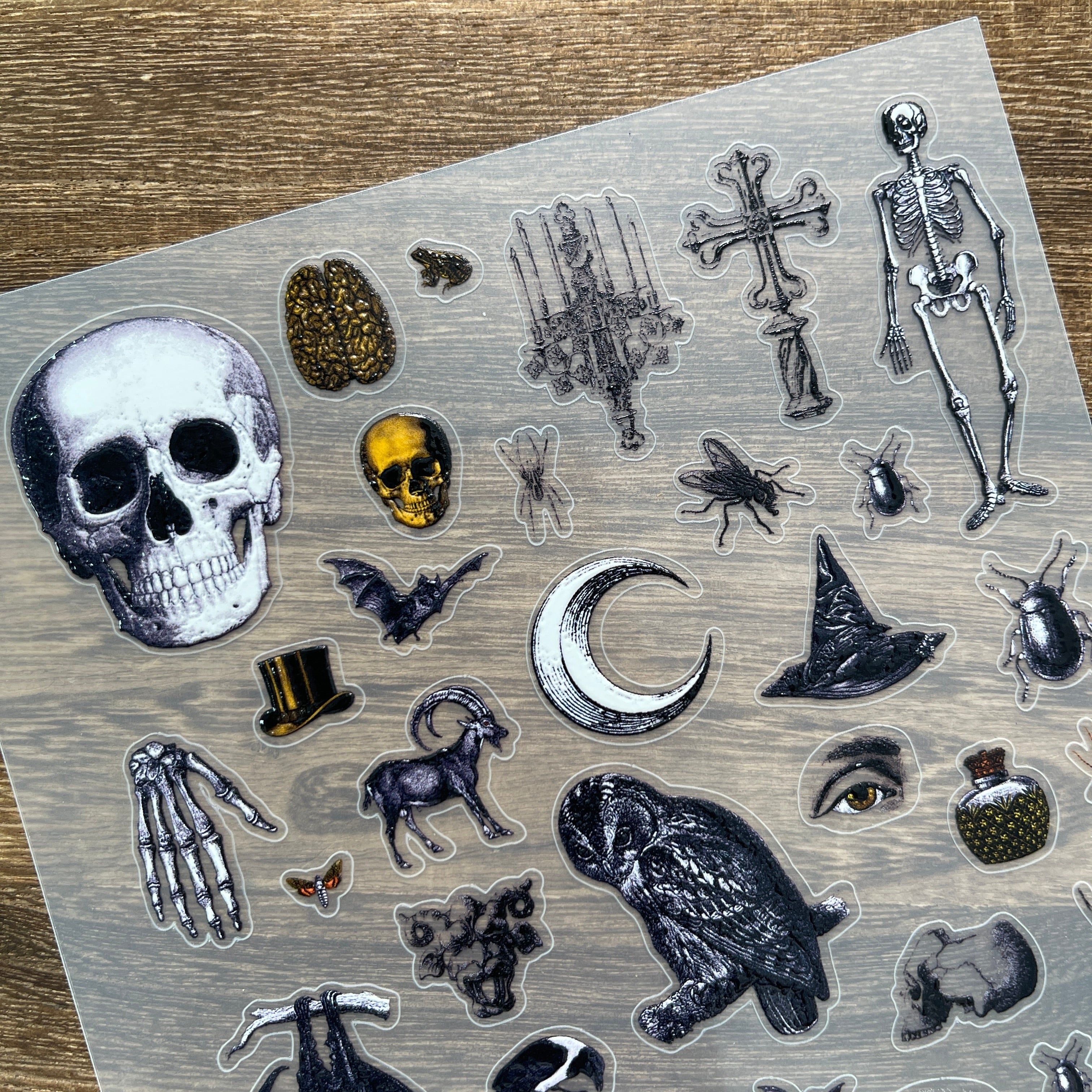 3D Vintage Halloween Skeleton PET Stickers 1pcs