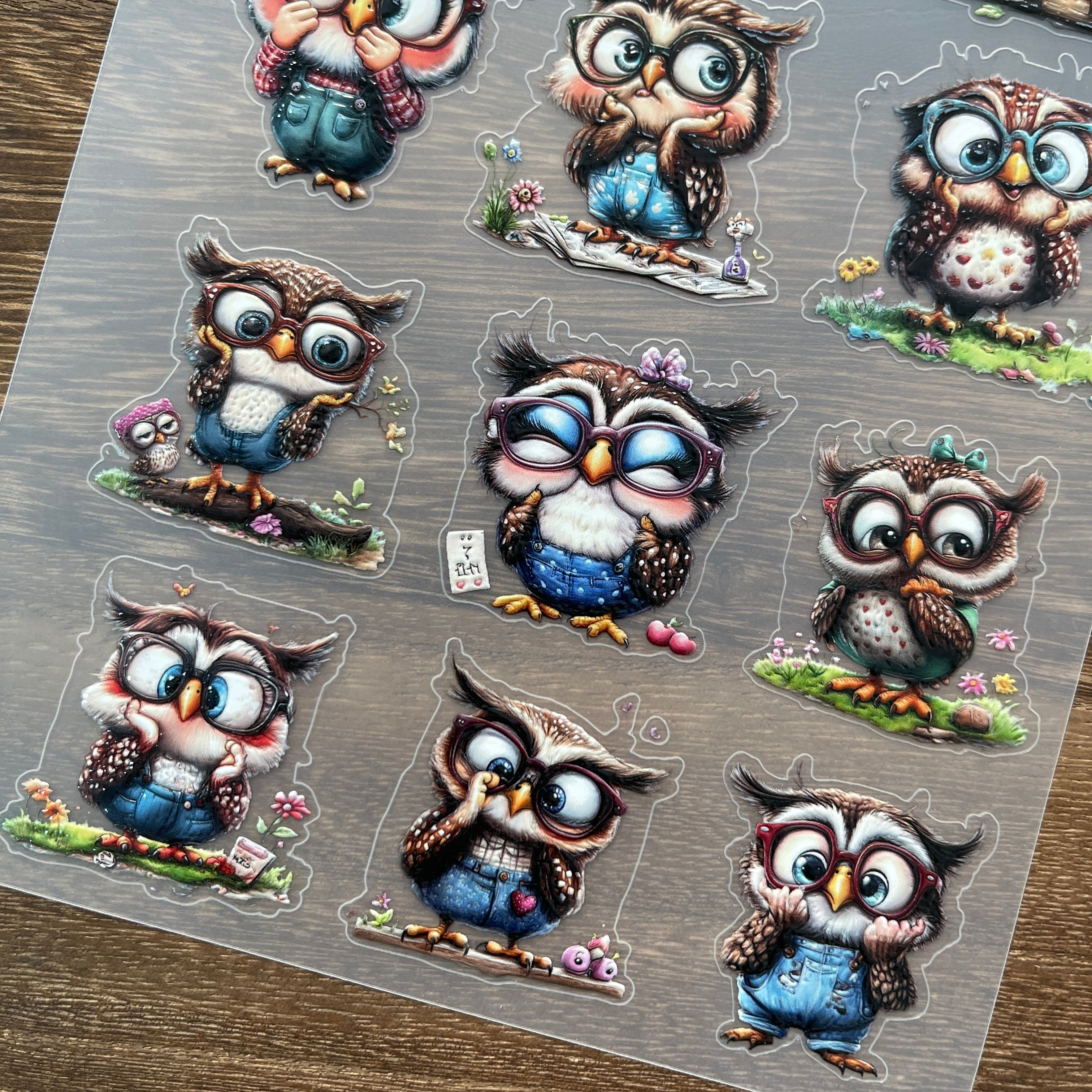 3D Owl PET Stickers 1pcs