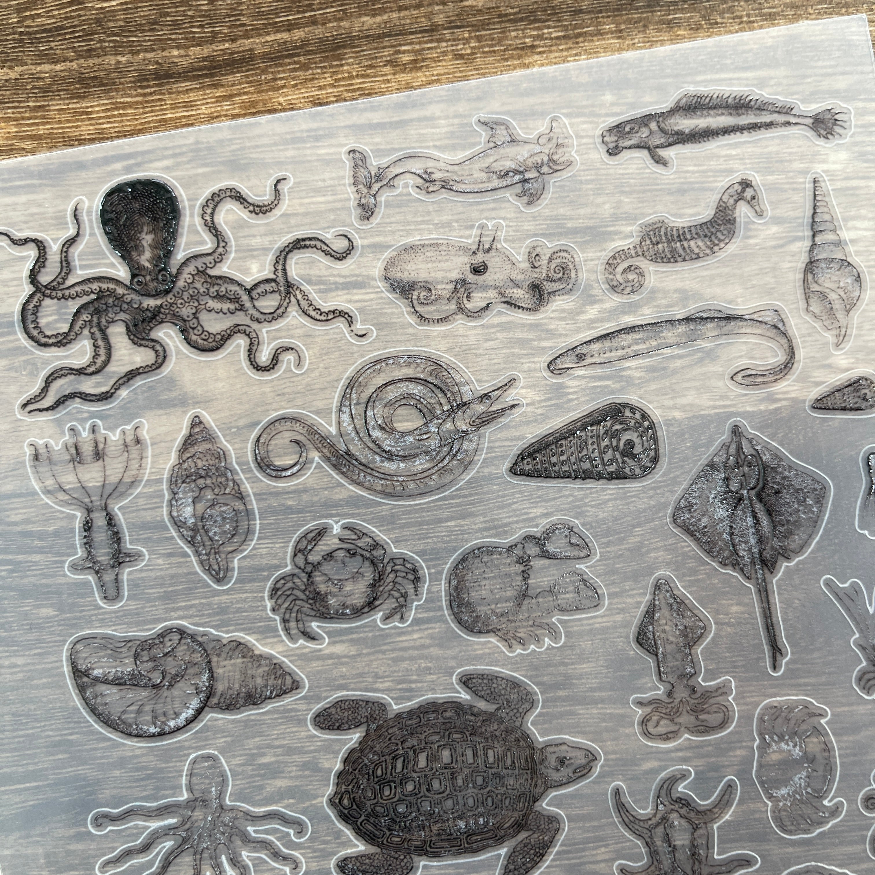 3D Marine life PET Stickers 1pcs