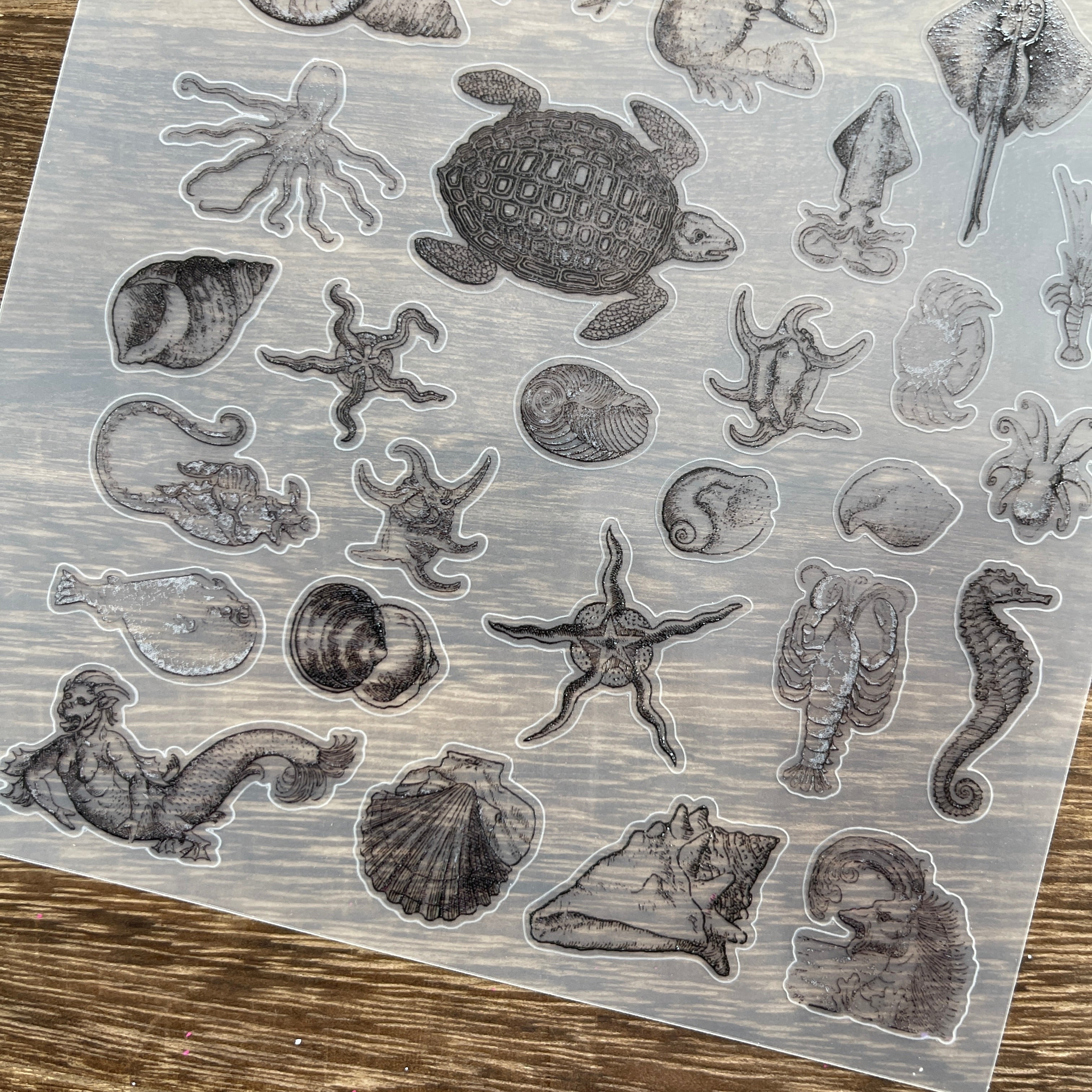 3D Marine life PET Stickers 1pcs