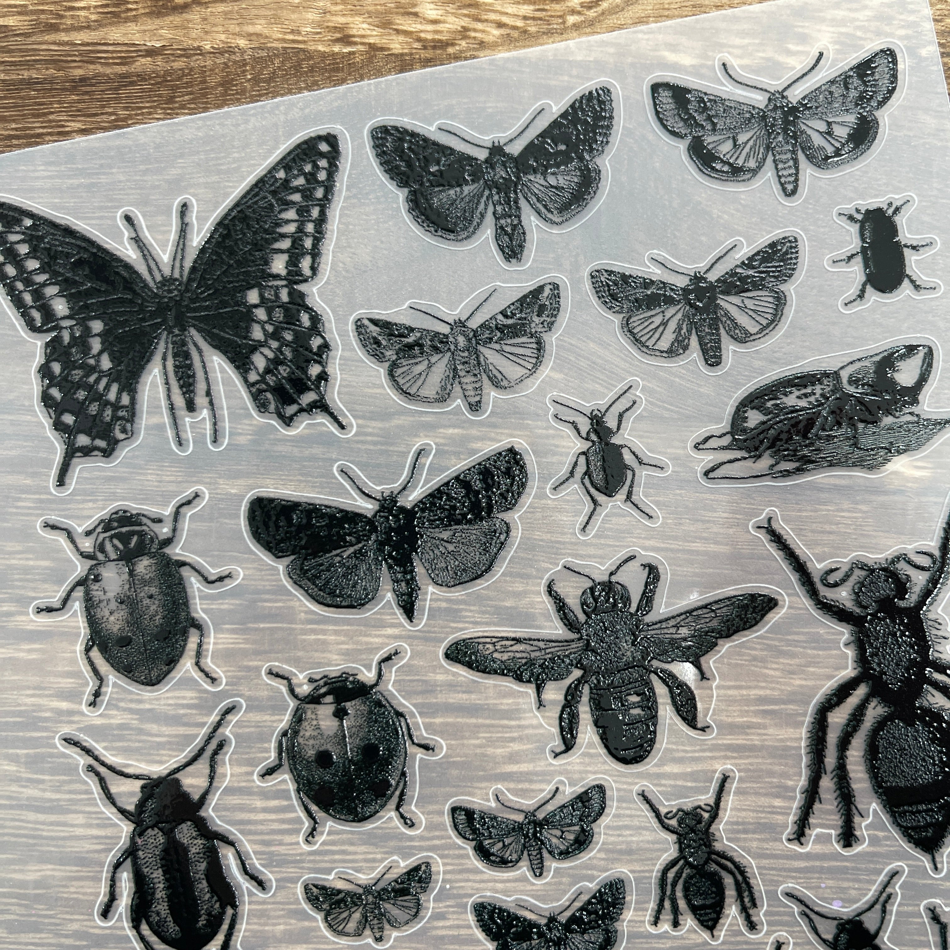 3D Black insect PET Stickers 1pcs