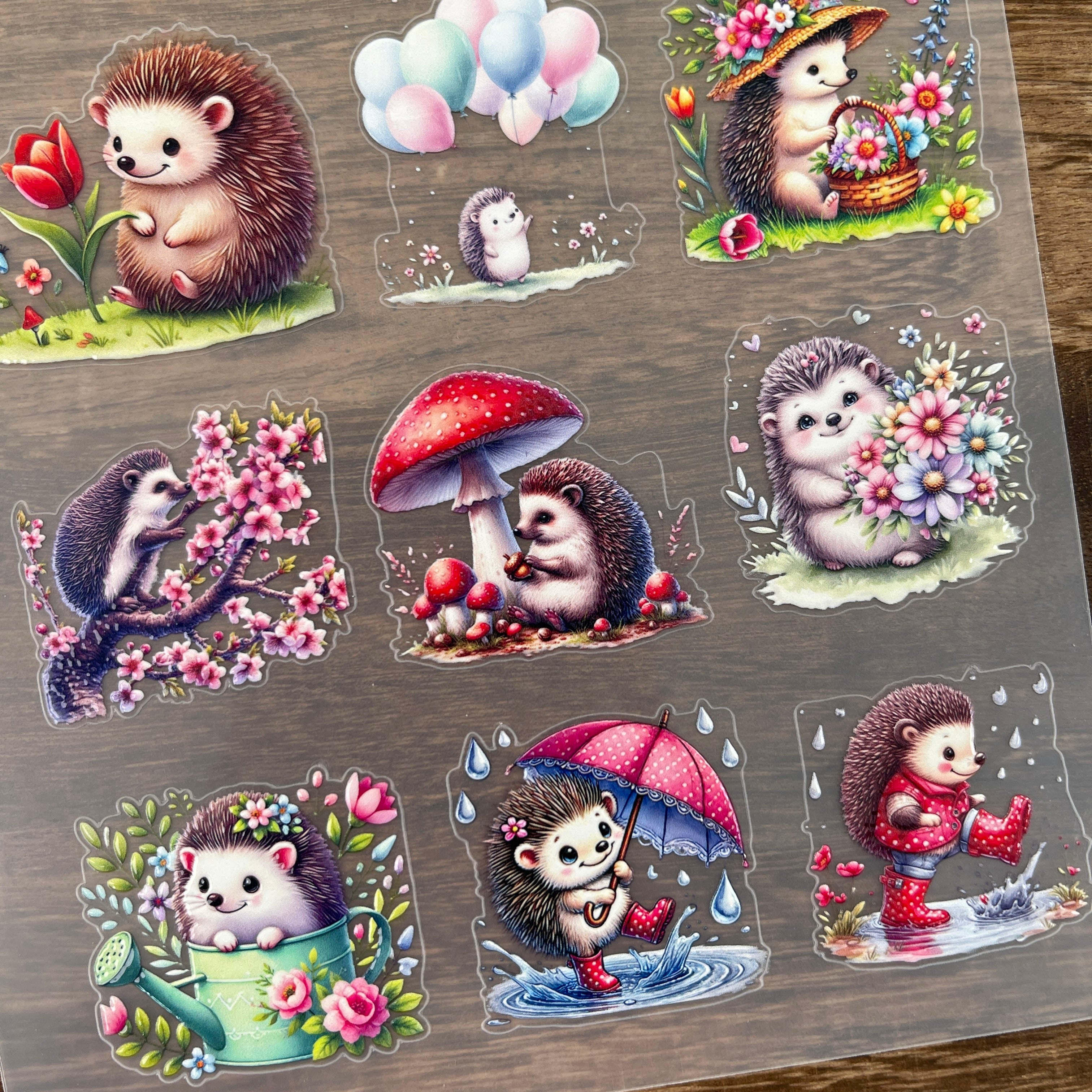 3D Spring hedgehog PET Sticker 1 Pcs