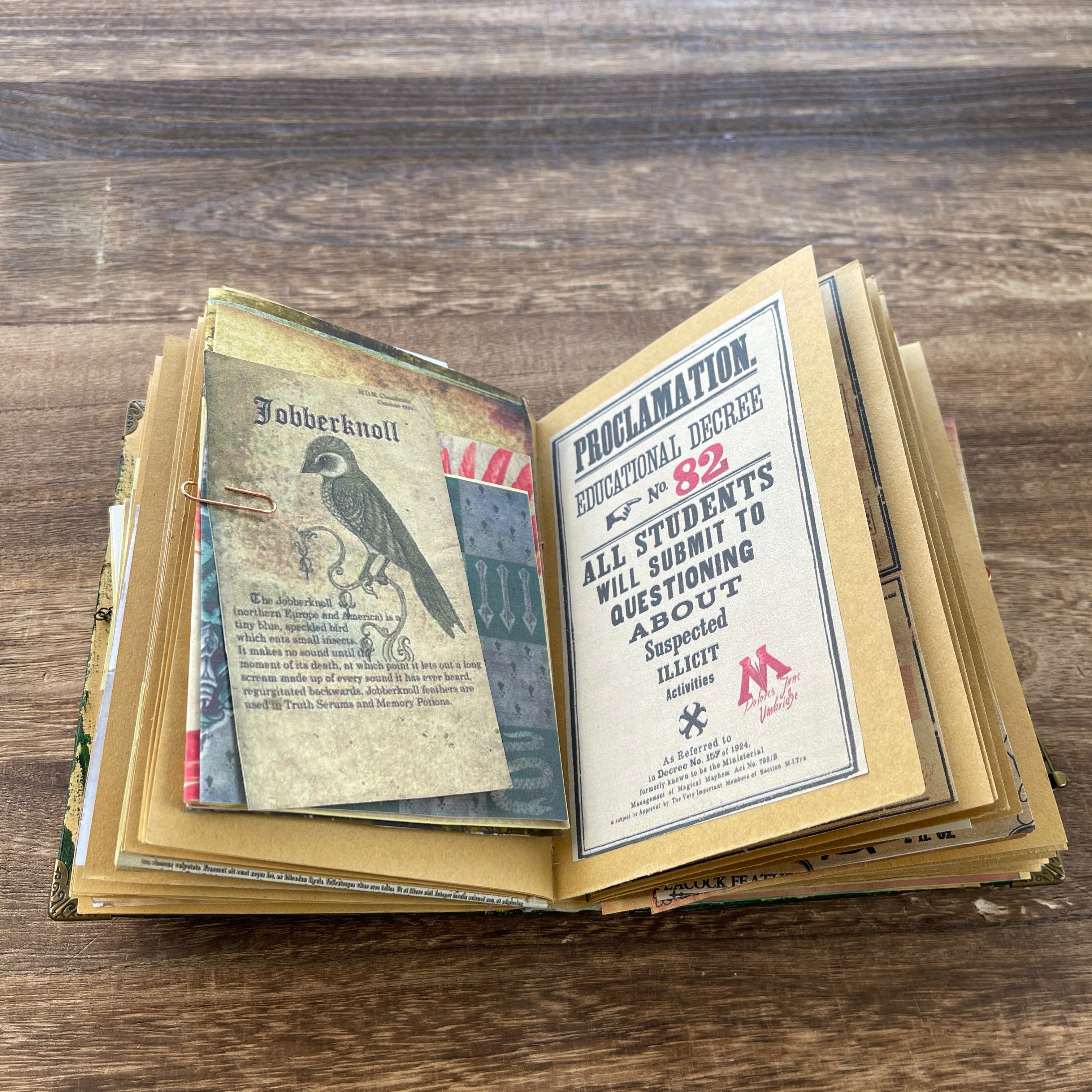 Slytherin style handmade book