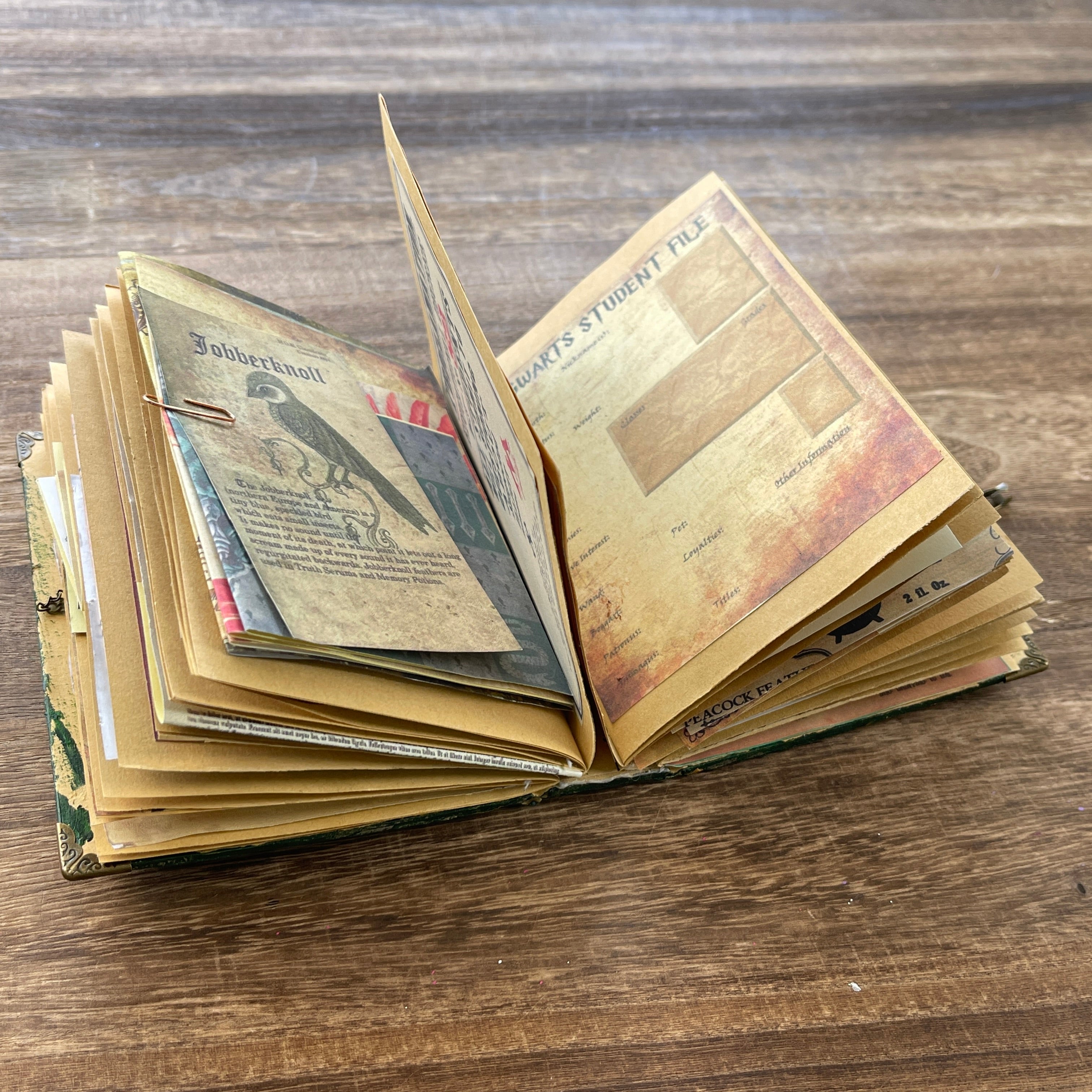 Slytherin style handmade book