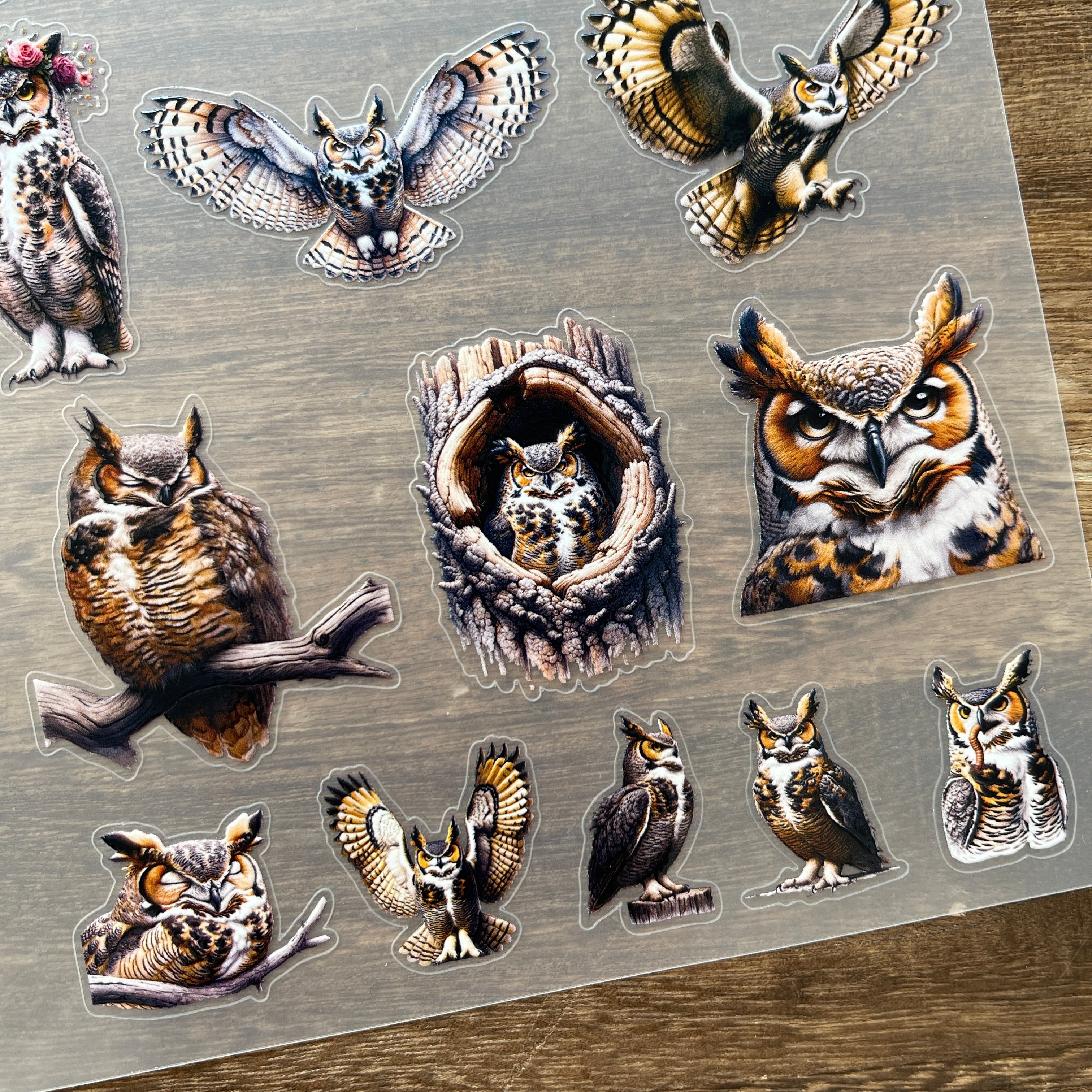 3D Owl PET Sticker 1 Pcs