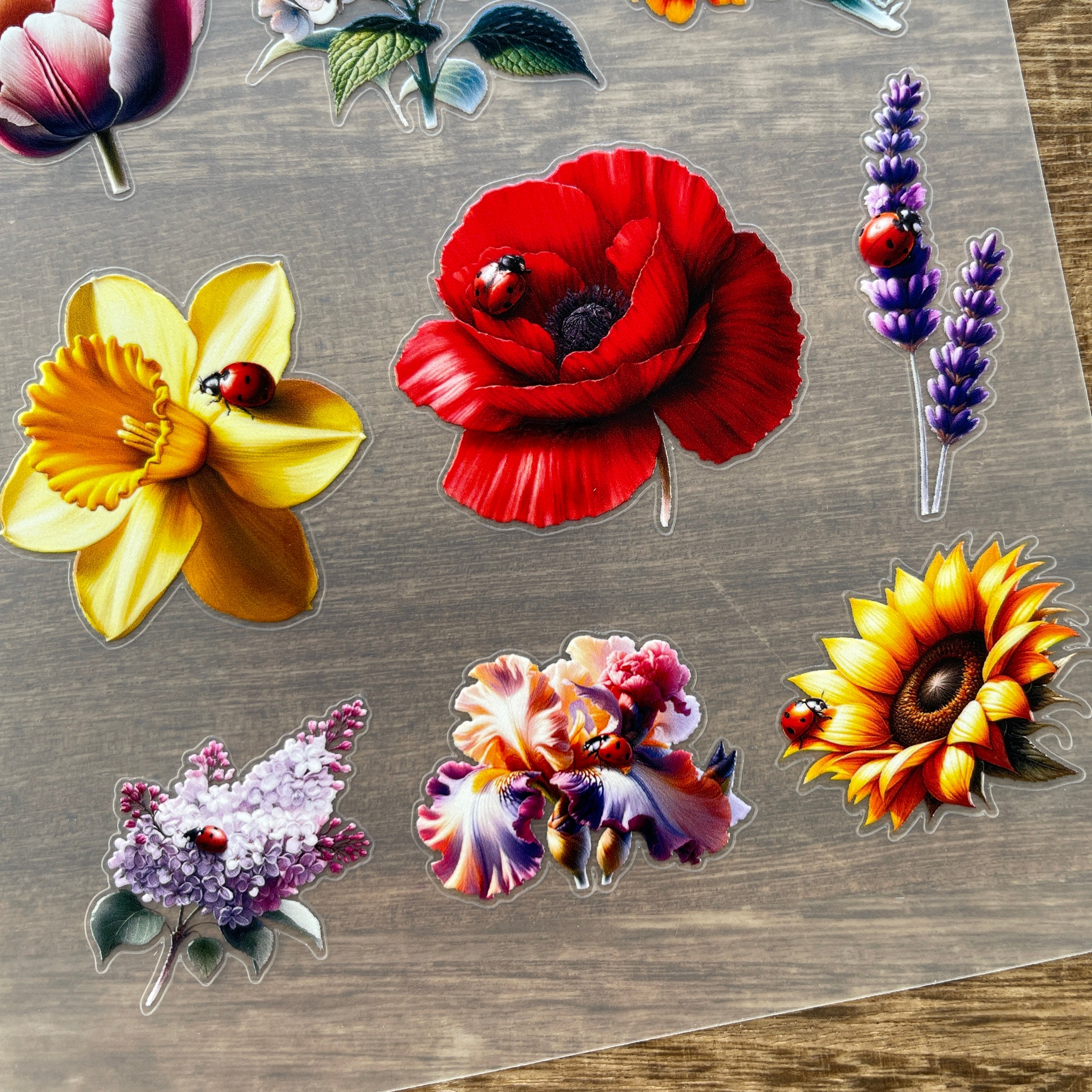 3D Ladybug on flower PET Sticker 1 Pcs