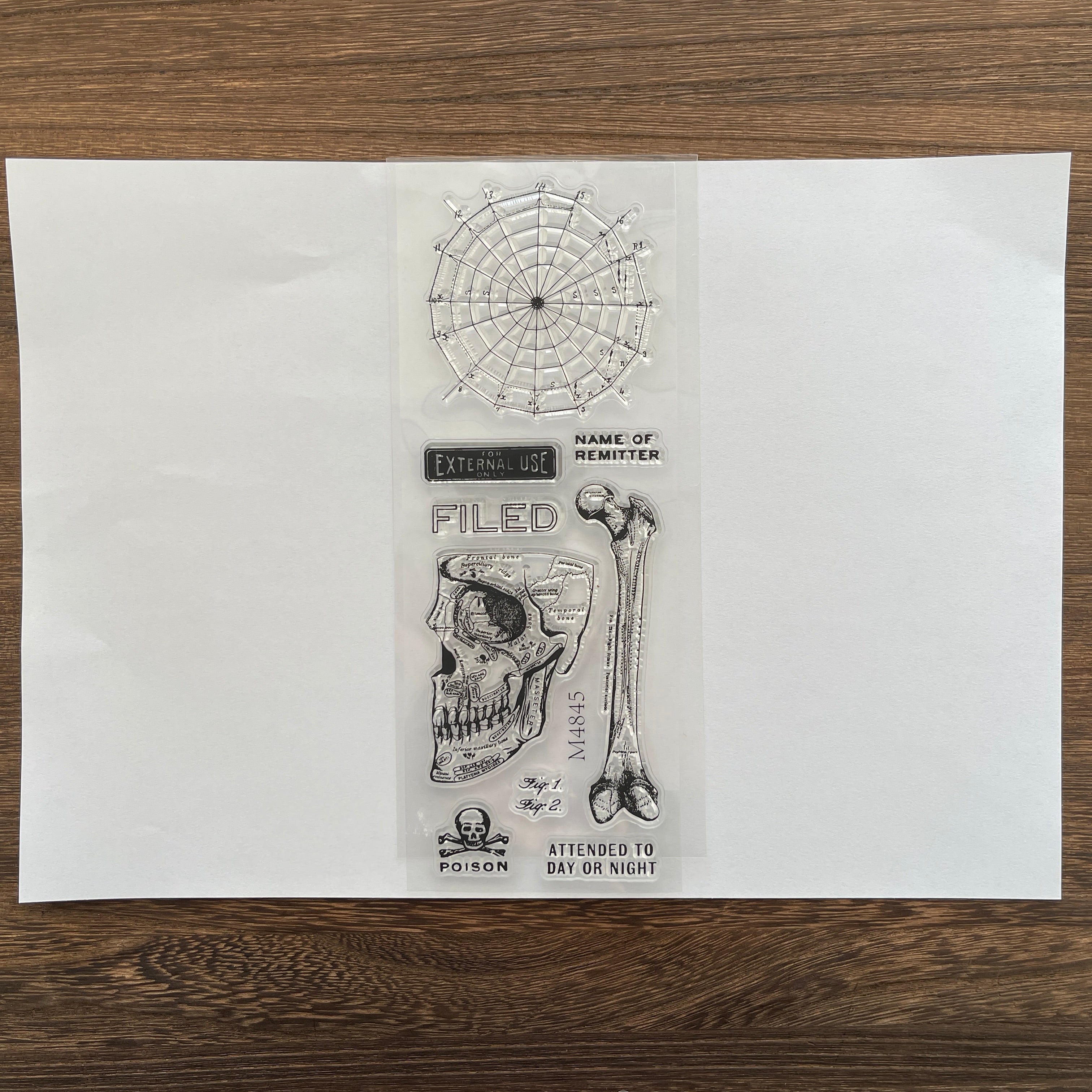 260109 Skeleton Clear Stamp 8cm*20.5cm