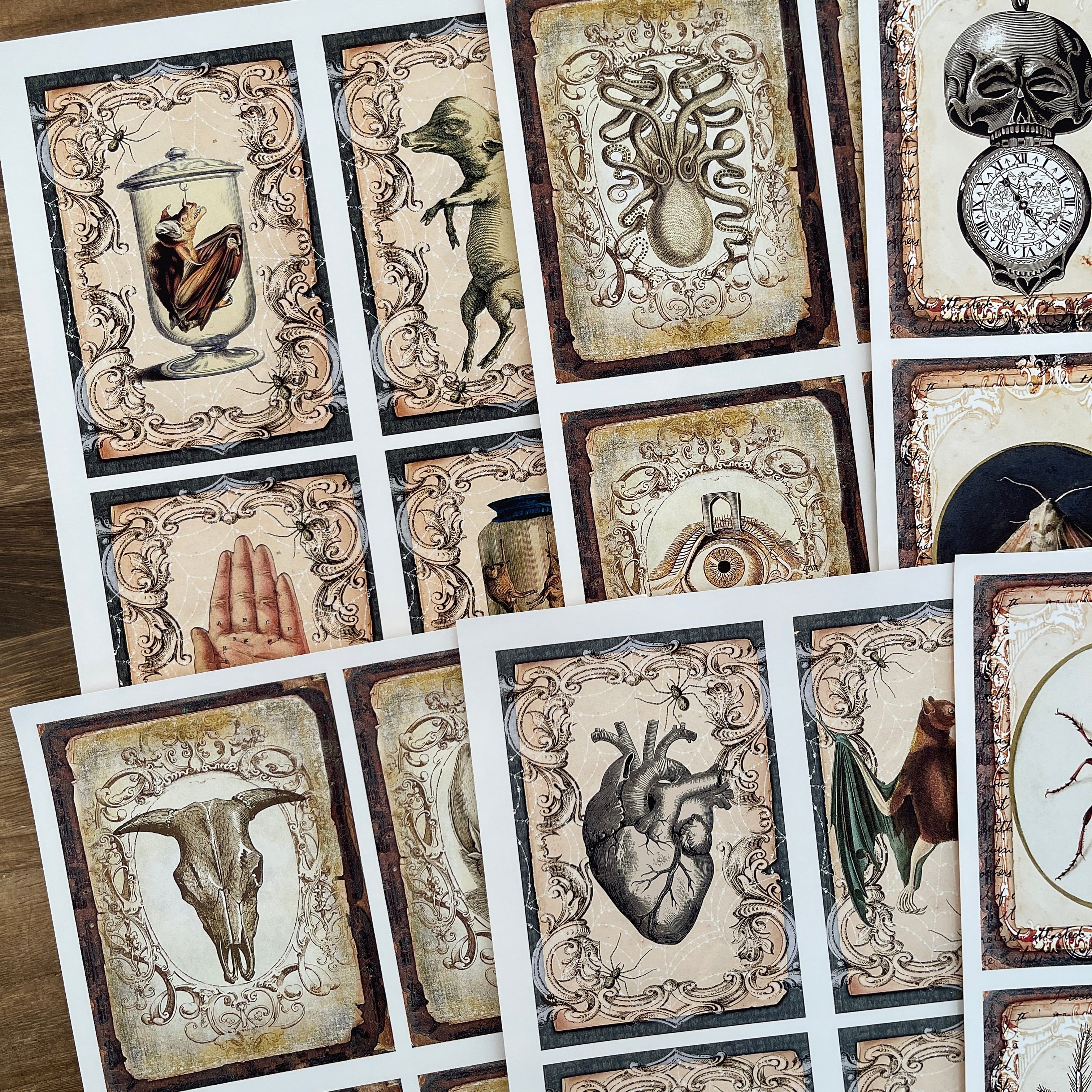 260326 A4 size Animals and Insects Style paper 6 pcs