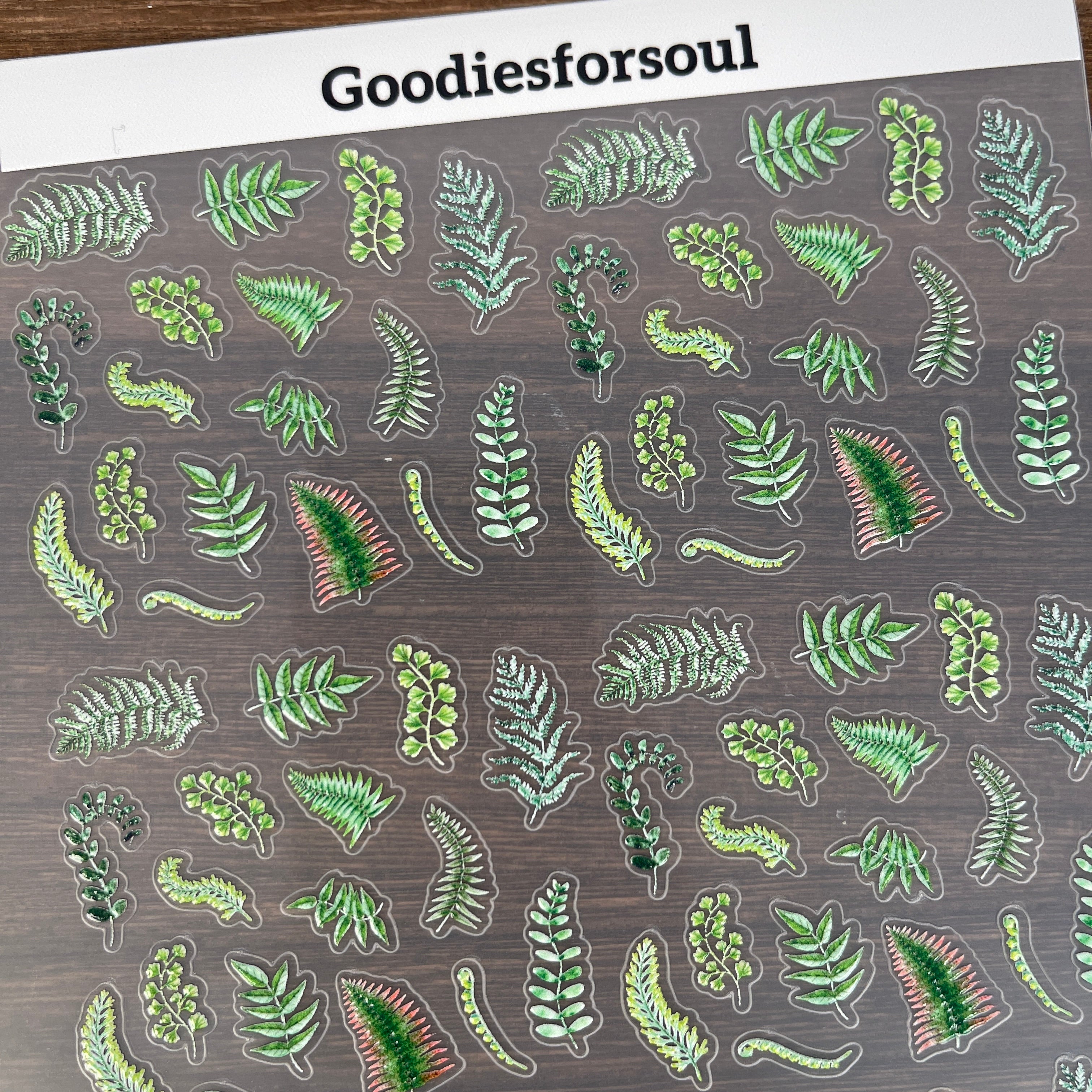 3D Ferns PET Sticker 1 Pcs